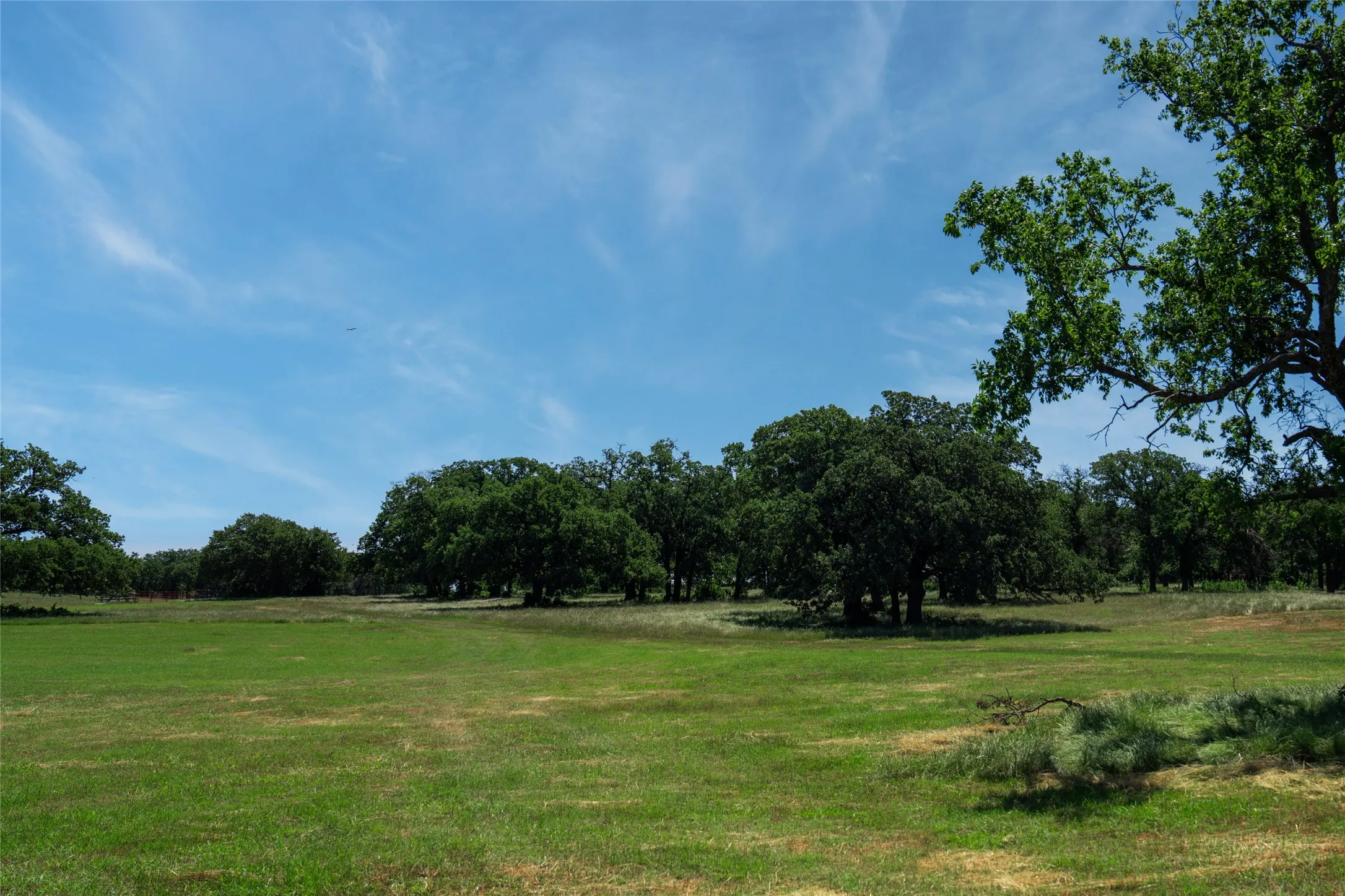Unimproved Land For Sale in Denton County , 5200 Cross Timbers Road, Flower Mound, Texas 75022, 0, 0, Garage spaces, 0 Sqft, built in 0, mls#21386224, Real Estate Agent in Flower Mound, Homes For Sale in Denton county, Homes For Sale in Flower Mound, Realtor in Flower Mound Texas, Real Estate Brokerage Independent Realty Texas, Luminita Cordes Realtor