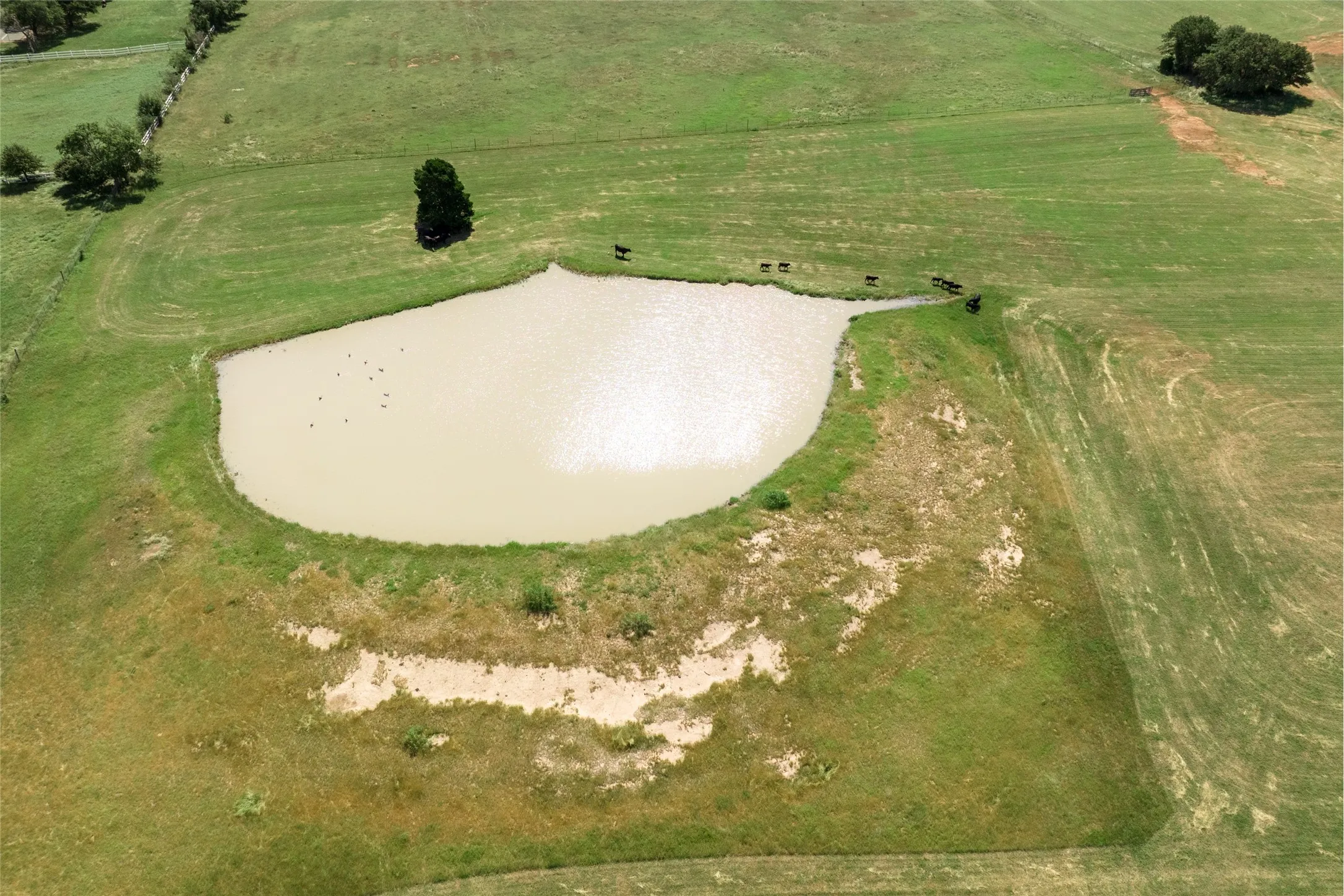 Unimproved Land For Sale in Denton County , 5200 Cross Timbers Road, Flower Mound, Texas 75022, 0, 0, Garage spaces, 0 Sqft, built in 0, mls#21386224, Real Estate Agent in Flower Mound, Homes For Sale in Denton county, Homes For Sale in Flower Mound, Realtor in Flower Mound Texas, Real Estate Brokerage Independent Realty Texas, Luminita Cordes Realtor