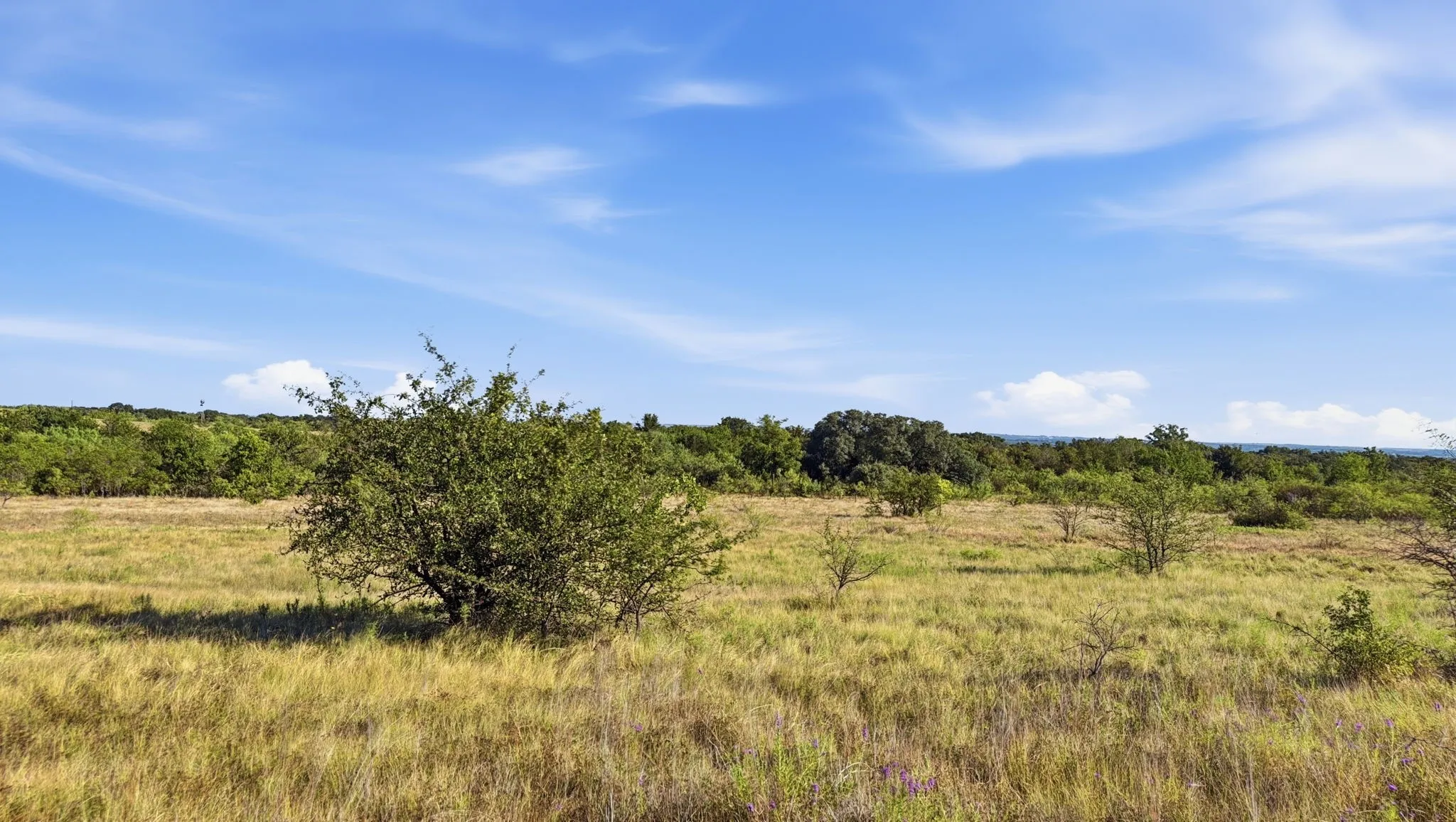 Unimproved Land For Sale in Comanche County , Lot 46 Twisted Creek Ranch, Gustine, Texas 76455, 0, 0, Garage spaces, 0 Sqft, built in 0, mls#21387422, Real Estate Agent in Gustine, Homes For Sale in Comanche county, Homes For Sale in Gustine, Realtor in Gustine Texas, Real Estate Brokerage Independent Realty Texas, Luminita Cordes Realtor