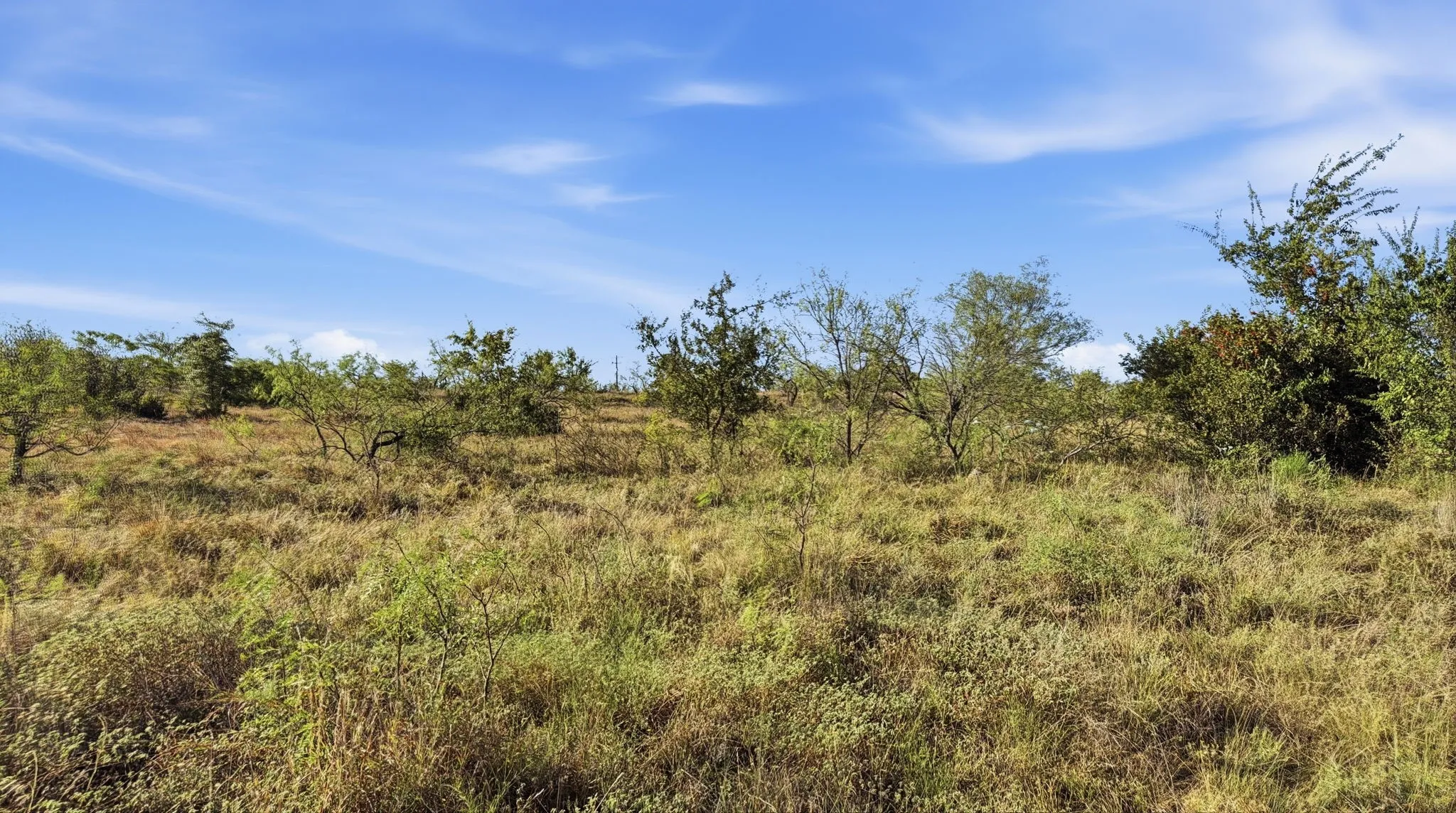 Unimproved Land For Sale in Comanche County , Lot 46 Twisted Creek Ranch, Gustine, Texas 76455, 0, 0, Garage spaces, 0 Sqft, built in 0, mls#21387422, Real Estate Agent in Gustine, Homes For Sale in Comanche county, Homes For Sale in Gustine, Realtor in Gustine Texas, Real Estate Brokerage Independent Realty Texas, Luminita Cordes Realtor