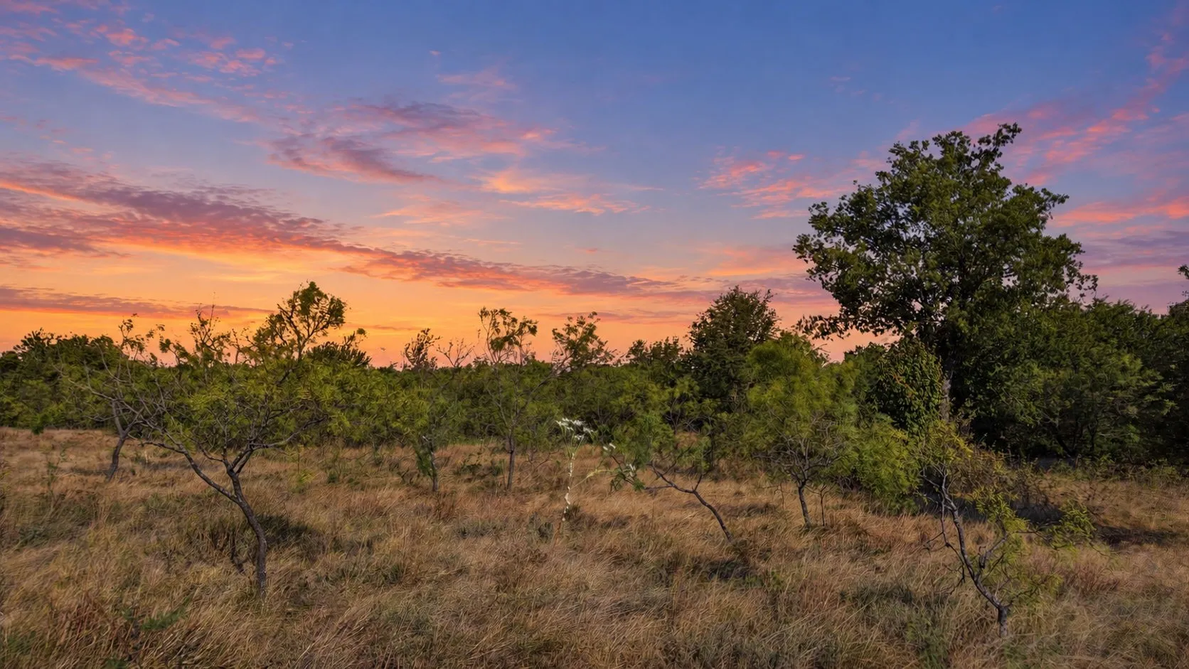 Unimproved Land For Sale in Comanche County , Lot 46 Twisted Creek Ranch, Gustine, Texas 76455, 0, 0, Garage spaces, 0 Sqft, built in 0, mls#21387422, Real Estate Agent in Gustine, Homes For Sale in Comanche county, Homes For Sale in Gustine, Realtor in Gustine Texas, Real Estate Brokerage Independent Realty Texas, Luminita Cordes Realtor