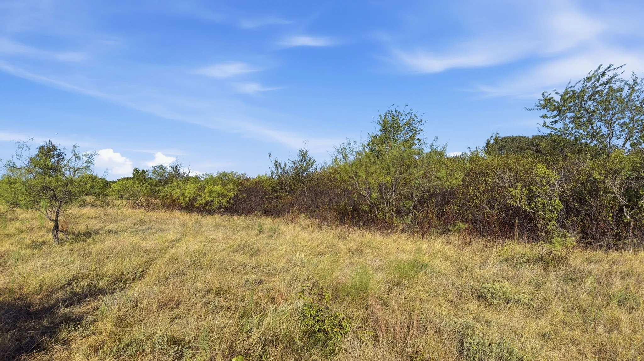 Unimproved Land For Sale in Comanche County , Lot 46 Twisted Creek Ranch, Gustine, Texas 76455, 0, 0, Garage spaces, 0 Sqft, built in 0, mls#21387422, Real Estate Agent in Gustine, Homes For Sale in Comanche county, Homes For Sale in Gustine, Realtor in Gustine Texas, Real Estate Brokerage Independent Realty Texas, Luminita Cordes Realtor