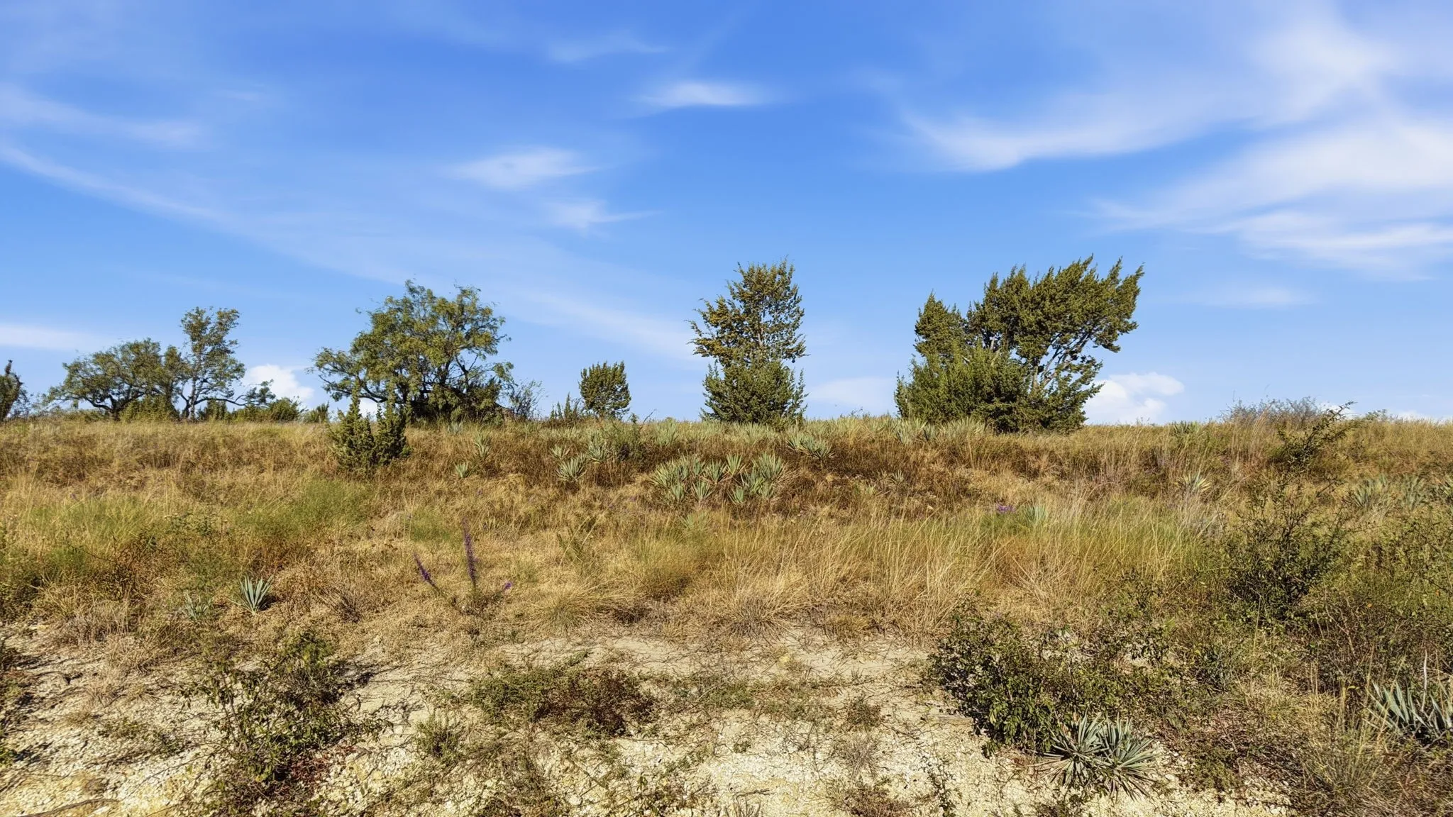 Unimproved Land For Sale in Comanche County , Lot 46 Twisted Creek Ranch, Gustine, Texas 76455, 0, 0, Garage spaces, 0 Sqft, built in 0, mls#21387422, Real Estate Agent in Gustine, Homes For Sale in Comanche county, Homes For Sale in Gustine, Realtor in Gustine Texas, Real Estate Brokerage Independent Realty Texas, Luminita Cordes Realtor