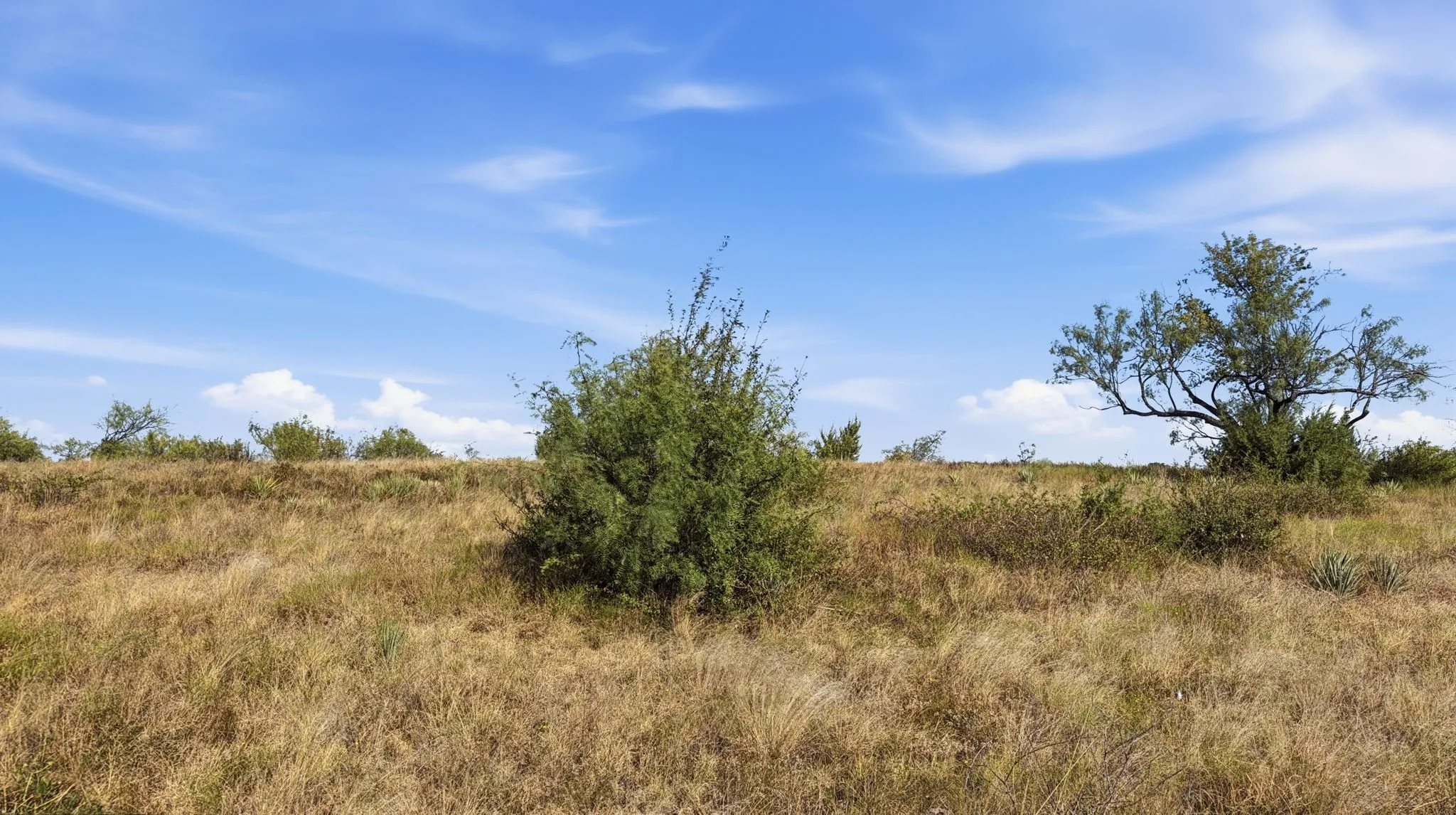 Unimproved Land For Sale in Comanche County , Lot 46 Twisted Creek Ranch, Gustine, Texas 76455, 0, 0, Garage spaces, 0 Sqft, built in 0, mls#21387422, Real Estate Agent in Gustine, Homes For Sale in Comanche county, Homes For Sale in Gustine, Realtor in Gustine Texas, Real Estate Brokerage Independent Realty Texas, Luminita Cordes Realtor