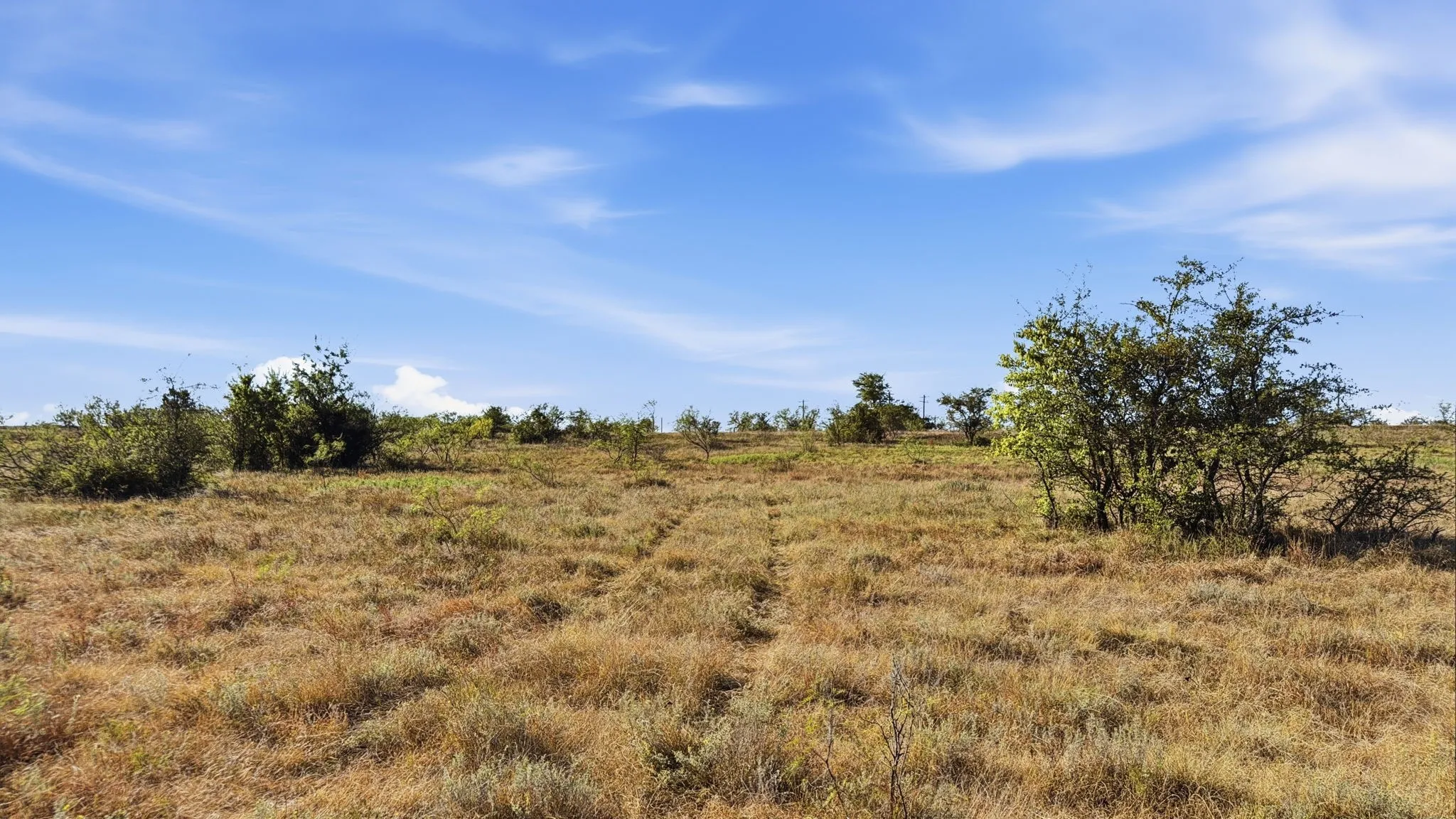 Unimproved Land For Sale in Comanche County , Lot 46 Twisted Creek Ranch, Gustine, Texas 76455, 0, 0, Garage spaces, 0 Sqft, built in 0, mls#21387422, Real Estate Agent in Gustine, Homes For Sale in Comanche county, Homes For Sale in Gustine, Realtor in Gustine Texas, Real Estate Brokerage Independent Realty Texas, Luminita Cordes Realtor
