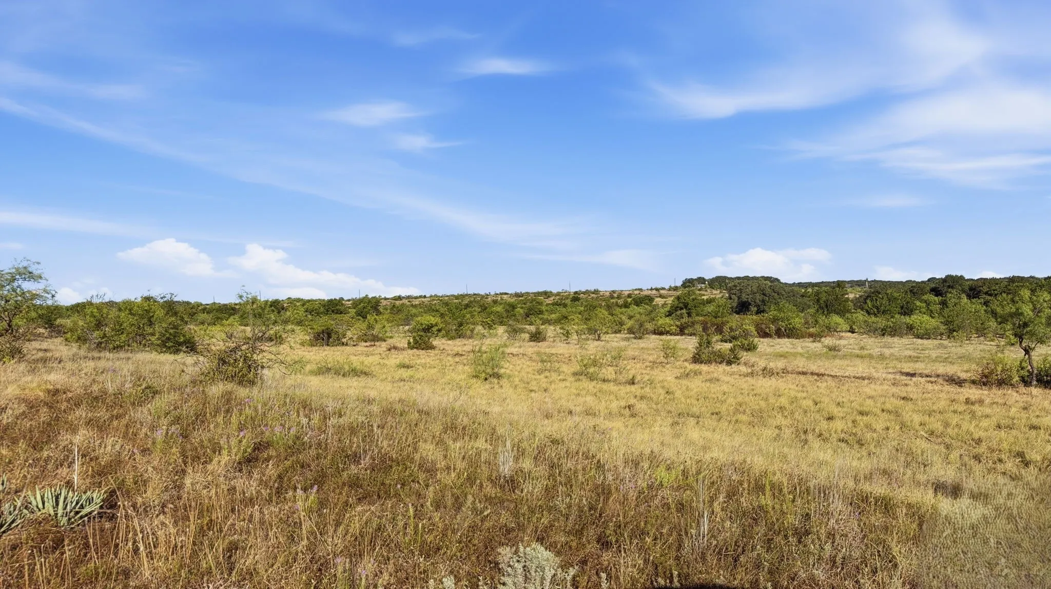 Unimproved Land For Sale in Comanche County , Lot 46 Twisted Creek Ranch, Gustine, Texas 76455, 0, 0, Garage spaces, 0 Sqft, built in 0, mls#21387422, Real Estate Agent in Gustine, Homes For Sale in Comanche county, Homes For Sale in Gustine, Realtor in Gustine Texas, Real Estate Brokerage Independent Realty Texas, Luminita Cordes Realtor