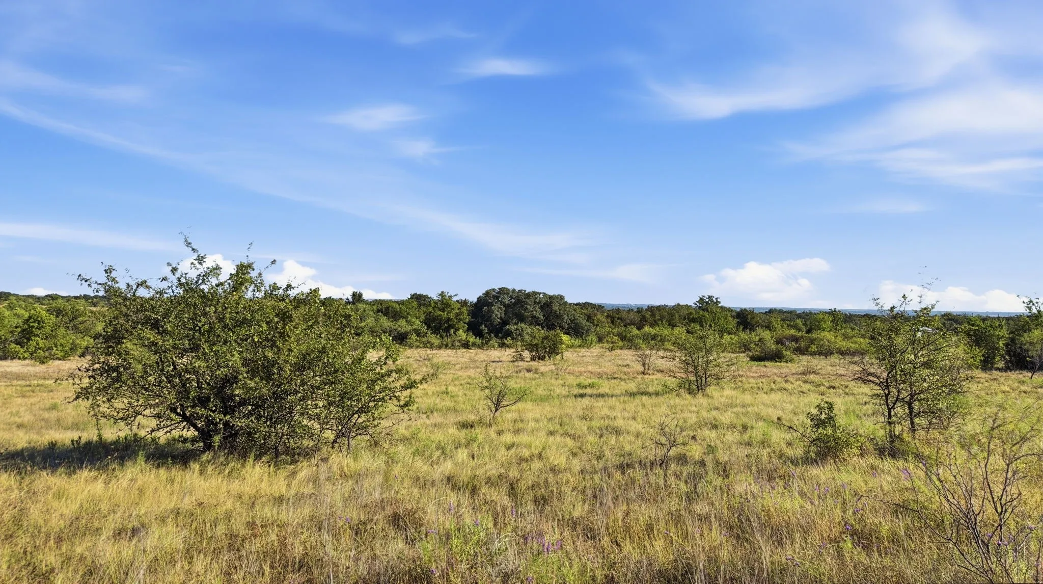 Unimproved Land For Sale in Comanche County , Lot 46 Twisted Creek Ranch, Gustine, Texas 76455, 0, 0, Garage spaces, 0 Sqft, built in 0, mls#21387422, Real Estate Agent in Gustine, Homes For Sale in Comanche county, Homes For Sale in Gustine, Realtor in Gustine Texas, Real Estate Brokerage Independent Realty Texas, Luminita Cordes Realtor