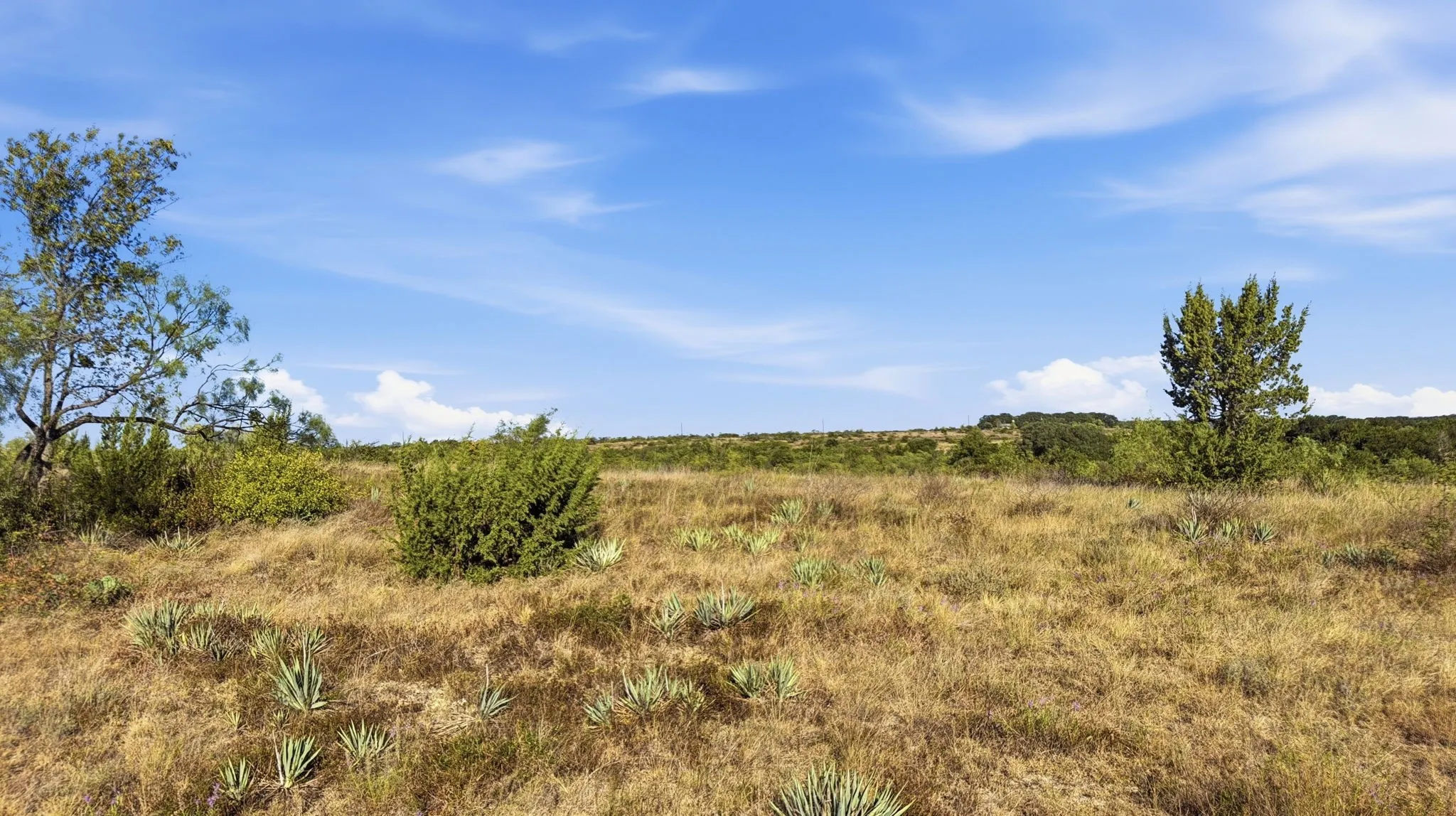 Unimproved Land For Sale in Comanche County , Lot 46 Twisted Creek Ranch, Gustine, Texas 76455, 0, 0, Garage spaces, 0 Sqft, built in 0, mls#21387422, Real Estate Agent in Gustine, Homes For Sale in Comanche county, Homes For Sale in Gustine, Realtor in Gustine Texas, Real Estate Brokerage Independent Realty Texas, Luminita Cordes Realtor