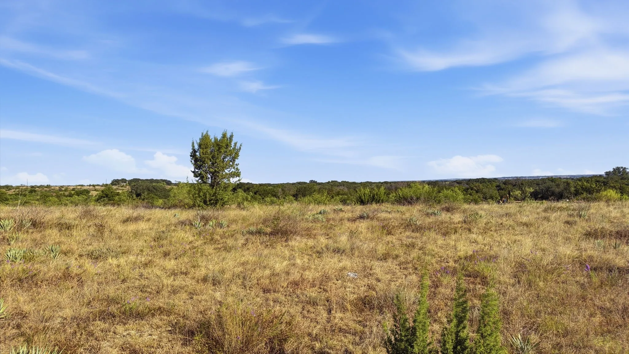 Unimproved Land For Sale in Comanche County , Lot 46 Twisted Creek Ranch, Gustine, Texas 76455, 0, 0, Garage spaces, 0 Sqft, built in 0, mls#21387422, Real Estate Agent in Gustine, Homes For Sale in Comanche county, Homes For Sale in Gustine, Realtor in Gustine Texas, Real Estate Brokerage Independent Realty Texas, Luminita Cordes Realtor