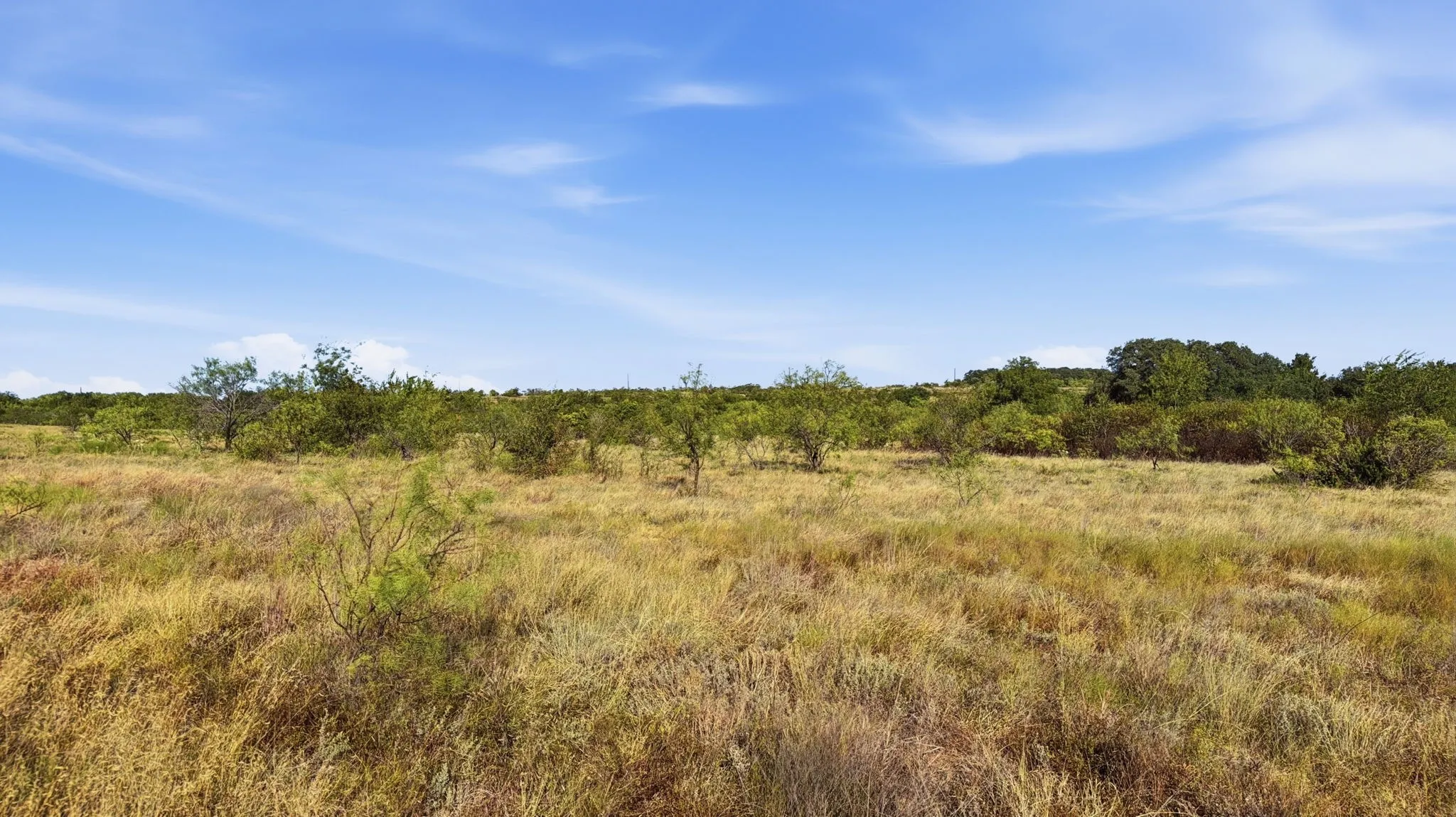 Unimproved Land For Sale in Comanche County , Lot 46 Twisted Creek Ranch, Gustine, Texas 76455, 0, 0, Garage spaces, 0 Sqft, built in 0, mls#21387422, Real Estate Agent in Gustine, Homes For Sale in Comanche county, Homes For Sale in Gustine, Realtor in Gustine Texas, Real Estate Brokerage Independent Realty Texas, Luminita Cordes Realtor