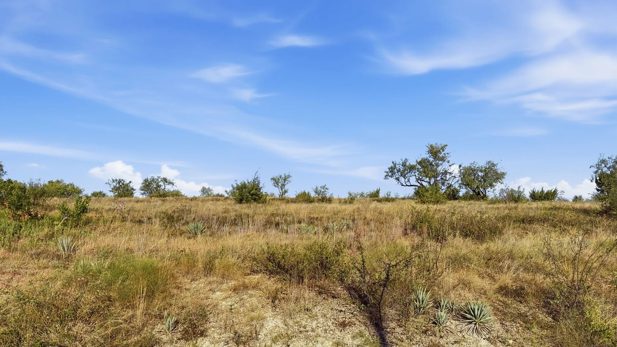 Unimproved Land For Sale in Comanche County , Lot 46 Twisted Creek Ranch, Gustine, Texas 76455, 0, 0, Garage spaces, 0 Sqft, built in 0, mls#21387422, Real Estate Agent in Gustine, Homes For Sale in Comanche county, Homes For Sale in Gustine, Realtor in Gustine Texas, Real Estate Brokerage Independent Realty Texas, Luminita Cordes Realtor