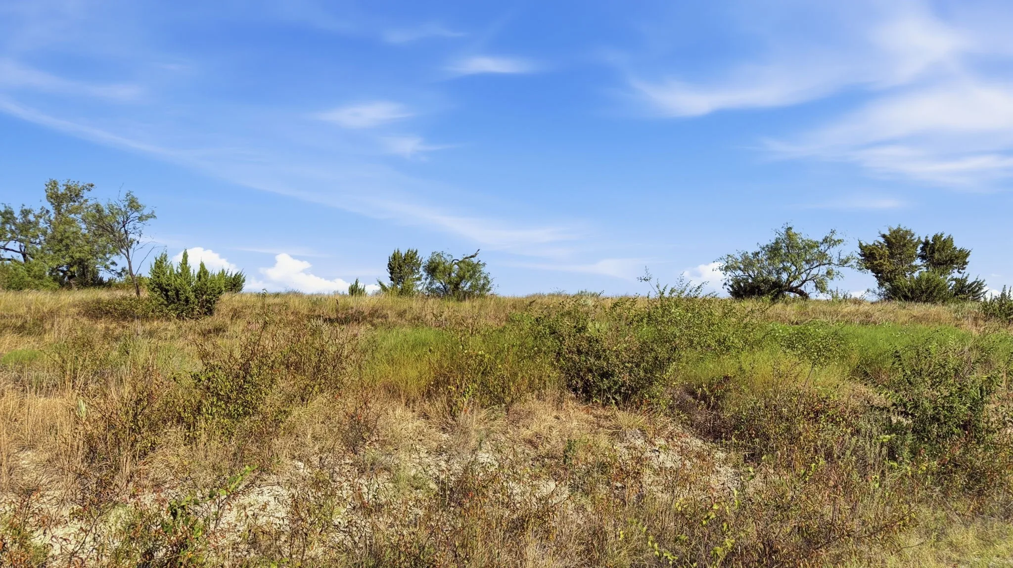 Unimproved Land For Sale in Comanche County , Lot 46 Twisted Creek Ranch, Gustine, Texas 76455, 0, 0, Garage spaces, 0 Sqft, built in 0, mls#21387422, Real Estate Agent in Gustine, Homes For Sale in Comanche county, Homes For Sale in Gustine, Realtor in Gustine Texas, Real Estate Brokerage Independent Realty Texas, Luminita Cordes Realtor