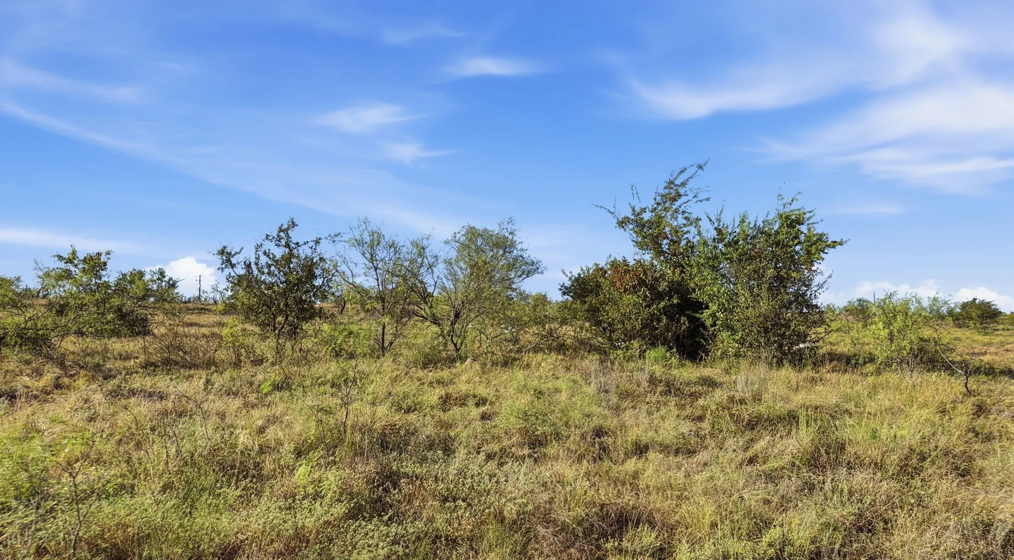 Unimproved Land For Sale in Comanche County , Lot 46 Twisted Creek Ranch, Gustine, Texas 76455, 0, 0, Garage spaces, 0 Sqft, built in 0, mls#21387422, Real Estate Agent in Gustine, Homes For Sale in Comanche county, Homes For Sale in Gustine, Realtor in Gustine Texas, Real Estate Brokerage Independent Realty Texas, Luminita Cordes Realtor