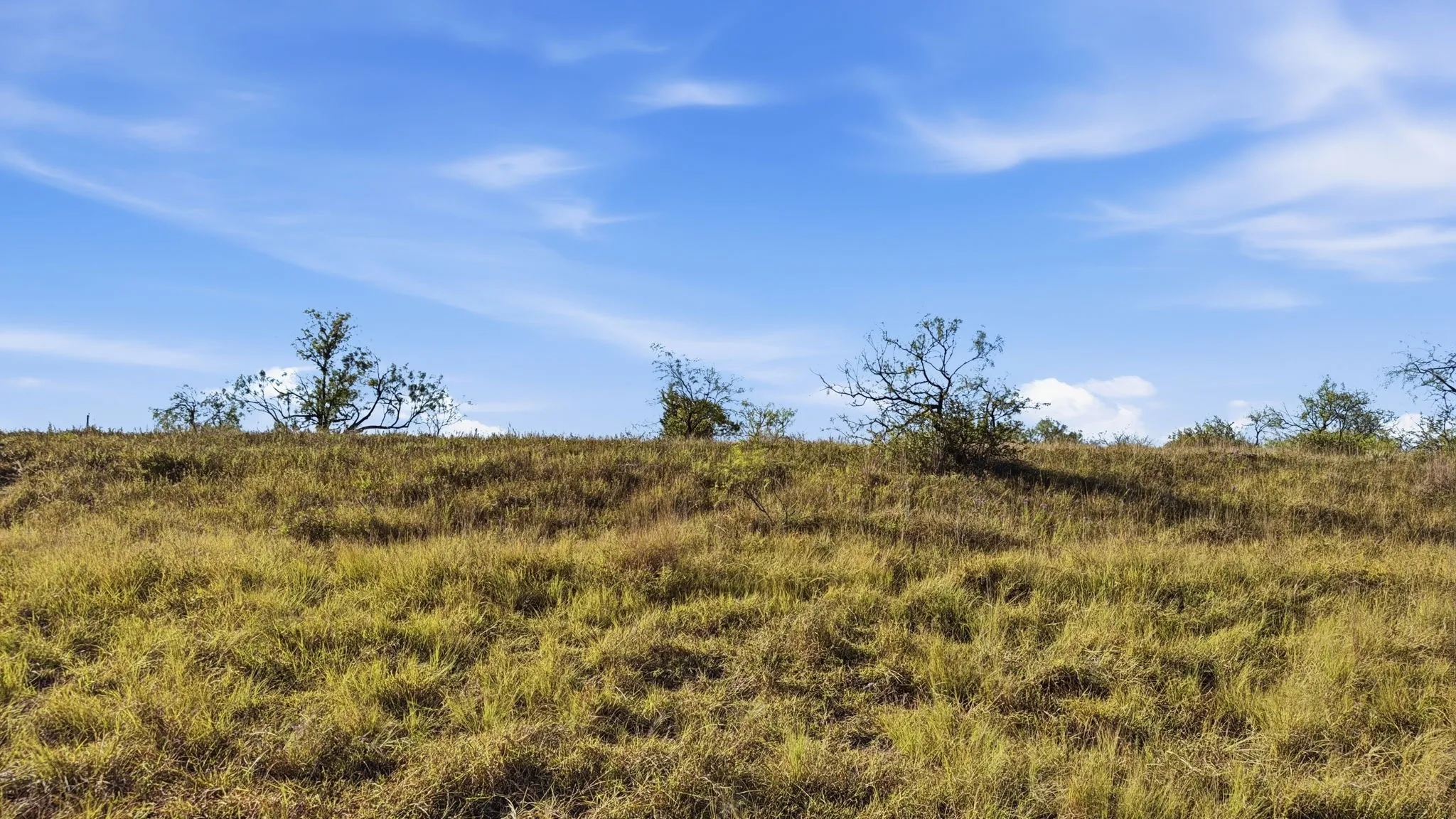 Unimproved Land For Sale in Comanche County , Lot 46 Twisted Creek Ranch, Gustine, Texas 76455, 0, 0, Garage spaces, 0 Sqft, built in 0, mls#21387422, Real Estate Agent in Gustine, Homes For Sale in Comanche county, Homes For Sale in Gustine, Realtor in Gustine Texas, Real Estate Brokerage Independent Realty Texas, Luminita Cordes Realtor