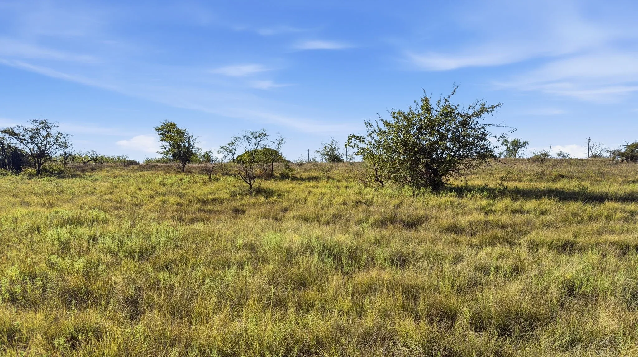 Unimproved Land For Sale in Comanche County , Lot 46 Twisted Creek Ranch, Gustine, Texas 76455, 0, 0, Garage spaces, 0 Sqft, built in 0, mls#21387422, Real Estate Agent in Gustine, Homes For Sale in Comanche county, Homes For Sale in Gustine, Realtor in Gustine Texas, Real Estate Brokerage Independent Realty Texas, Luminita Cordes Realtor