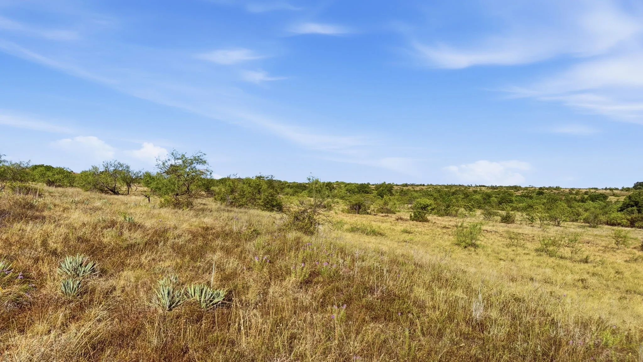 Unimproved Land For Sale in Comanche County , Lot 46 Twisted Creek Ranch, Gustine, Texas 76455, 0, 0, Garage spaces, 0 Sqft, built in 0, mls#21387422, Real Estate Agent in Gustine, Homes For Sale in Comanche county, Homes For Sale in Gustine, Realtor in Gustine Texas, Real Estate Brokerage Independent Realty Texas, Luminita Cordes Realtor