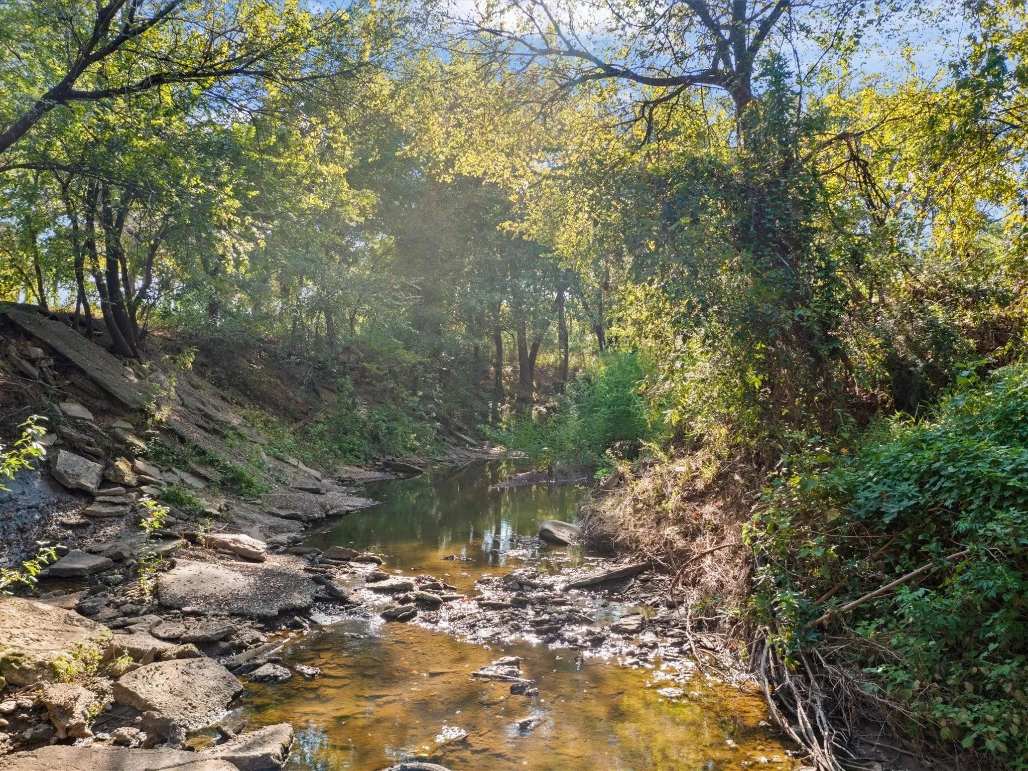 Unimproved Land For Sale in Tarrant County , 351 Carlin Road, Mansfield, Texas 76063, 0, 0, Garage spaces, 0 Sqft, built in 0, mls#21386754, Real Estate Agent in Mansfield, Homes For Sale in Tarrant county, Homes For Sale in Mansfield, Realtor in Mansfield Texas, Real Estate Brokerage Independent Realty Texas, Luminita Cordes Realtor