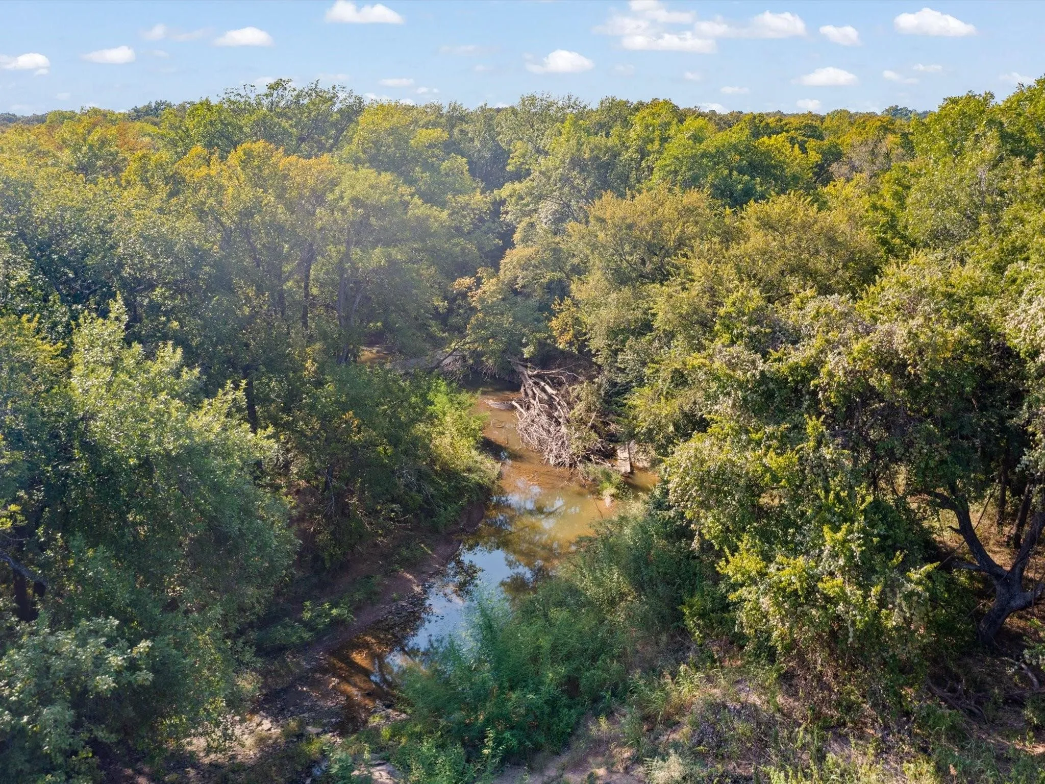 Unimproved Land For Sale in Tarrant County , 351 Carlin Road, Mansfield, Texas 76063, 0, 0, Garage spaces, 0 Sqft, built in 0, mls#21386754, Real Estate Agent in Mansfield, Homes For Sale in Tarrant county, Homes For Sale in Mansfield, Realtor in Mansfield Texas, Real Estate Brokerage Independent Realty Texas, Luminita Cordes Realtor