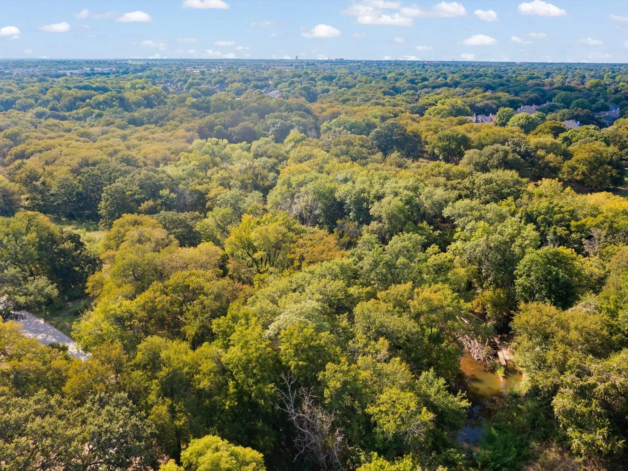 Unimproved Land For Sale in Tarrant County , 351 Carlin Road, Mansfield, Texas 76063, 0, 0, Garage spaces, 0 Sqft, built in 0, mls#21386754, Real Estate Agent in Mansfield, Homes For Sale in Tarrant county, Homes For Sale in Mansfield, Realtor in Mansfield Texas, Real Estate Brokerage Independent Realty Texas, Luminita Cordes Realtor