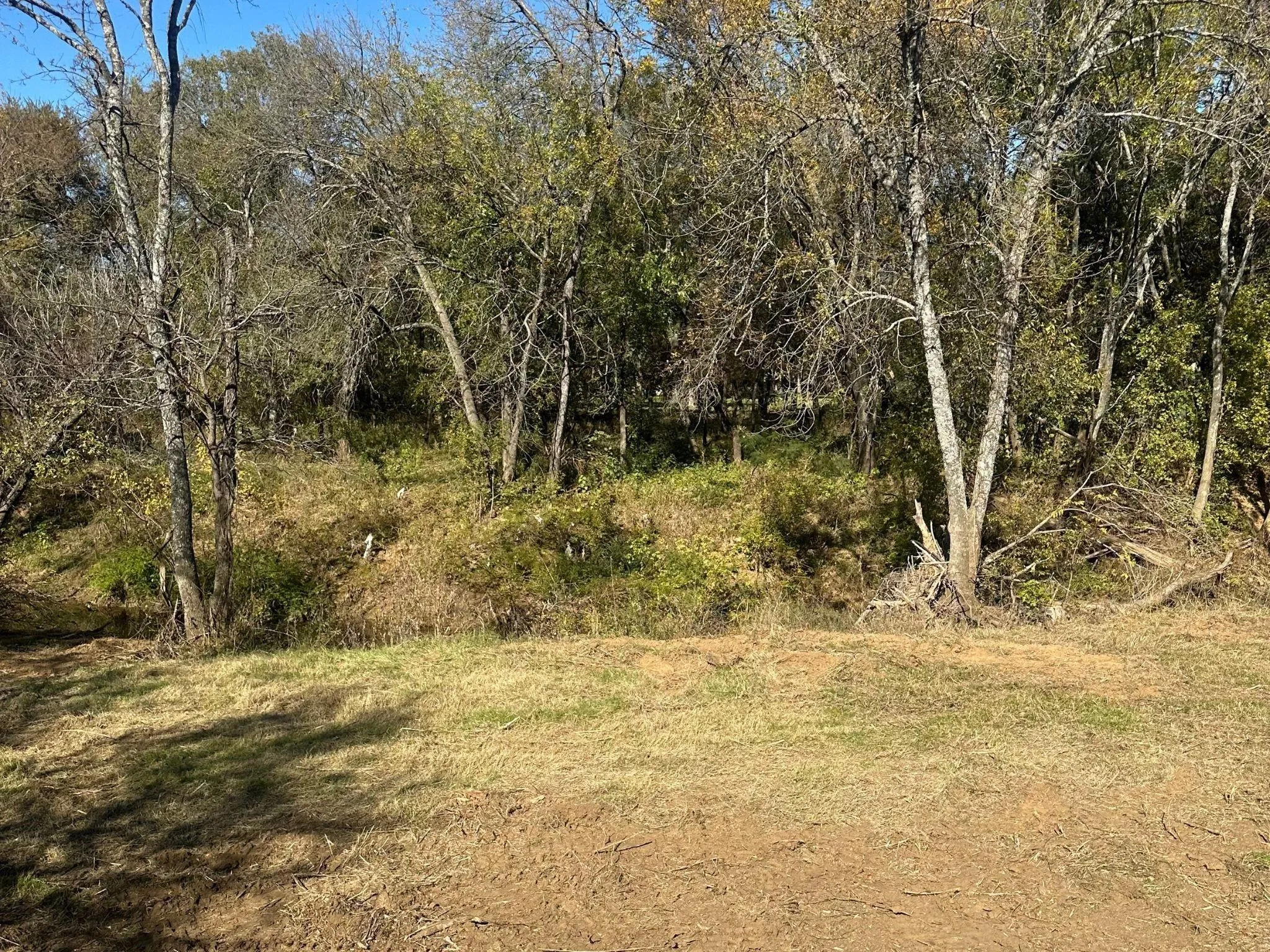 Unimproved Land For Sale in Tarrant County , 351 Carlin Road, Mansfield, Texas 76063, 0, 0, Garage spaces, 0 Sqft, built in 0, mls#21386754, Real Estate Agent in Mansfield, Homes For Sale in Tarrant county, Homes For Sale in Mansfield, Realtor in Mansfield Texas, Real Estate Brokerage Independent Realty Texas, Luminita Cordes Realtor