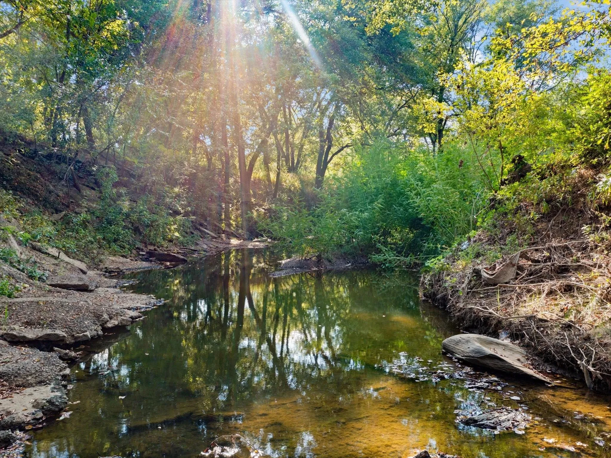 Unimproved Land For Sale in Tarrant County , 351 Carlin Road, Mansfield, Texas 76063, 0, 0, Garage spaces, 0 Sqft, built in 0, mls#21386754, Real Estate Agent in Mansfield, Homes For Sale in Tarrant county, Homes For Sale in Mansfield, Realtor in Mansfield Texas, Real Estate Brokerage Independent Realty Texas, Luminita Cordes Realtor
