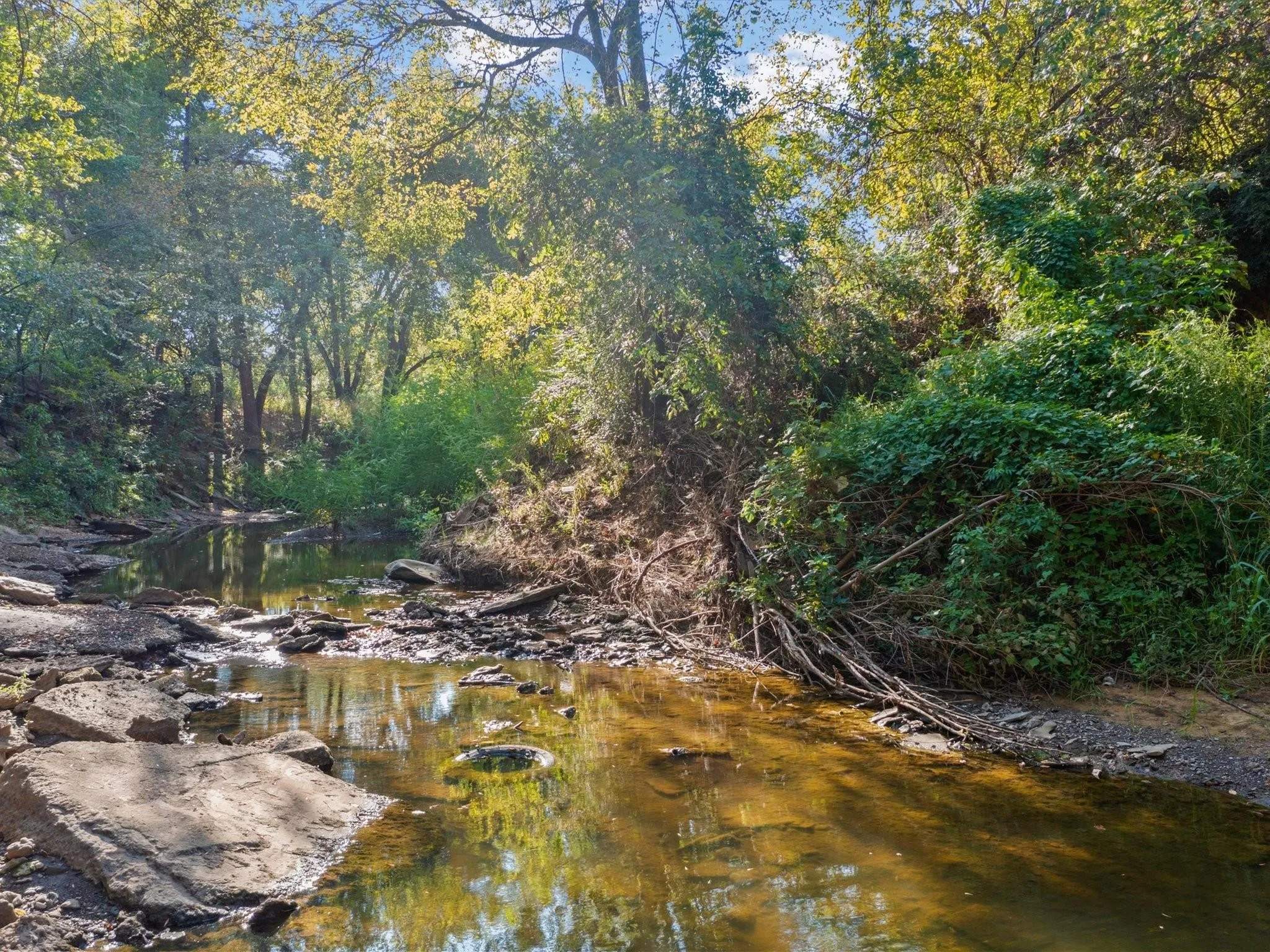 Unimproved Land For Sale in Tarrant County , 351 Carlin Road, Mansfield, Texas 76063, 0, 0, Garage spaces, 0 Sqft, built in 0, mls#21386754, Real Estate Agent in Mansfield, Homes For Sale in Tarrant county, Homes For Sale in Mansfield, Realtor in Mansfield Texas, Real Estate Brokerage Independent Realty Texas, Luminita Cordes Realtor