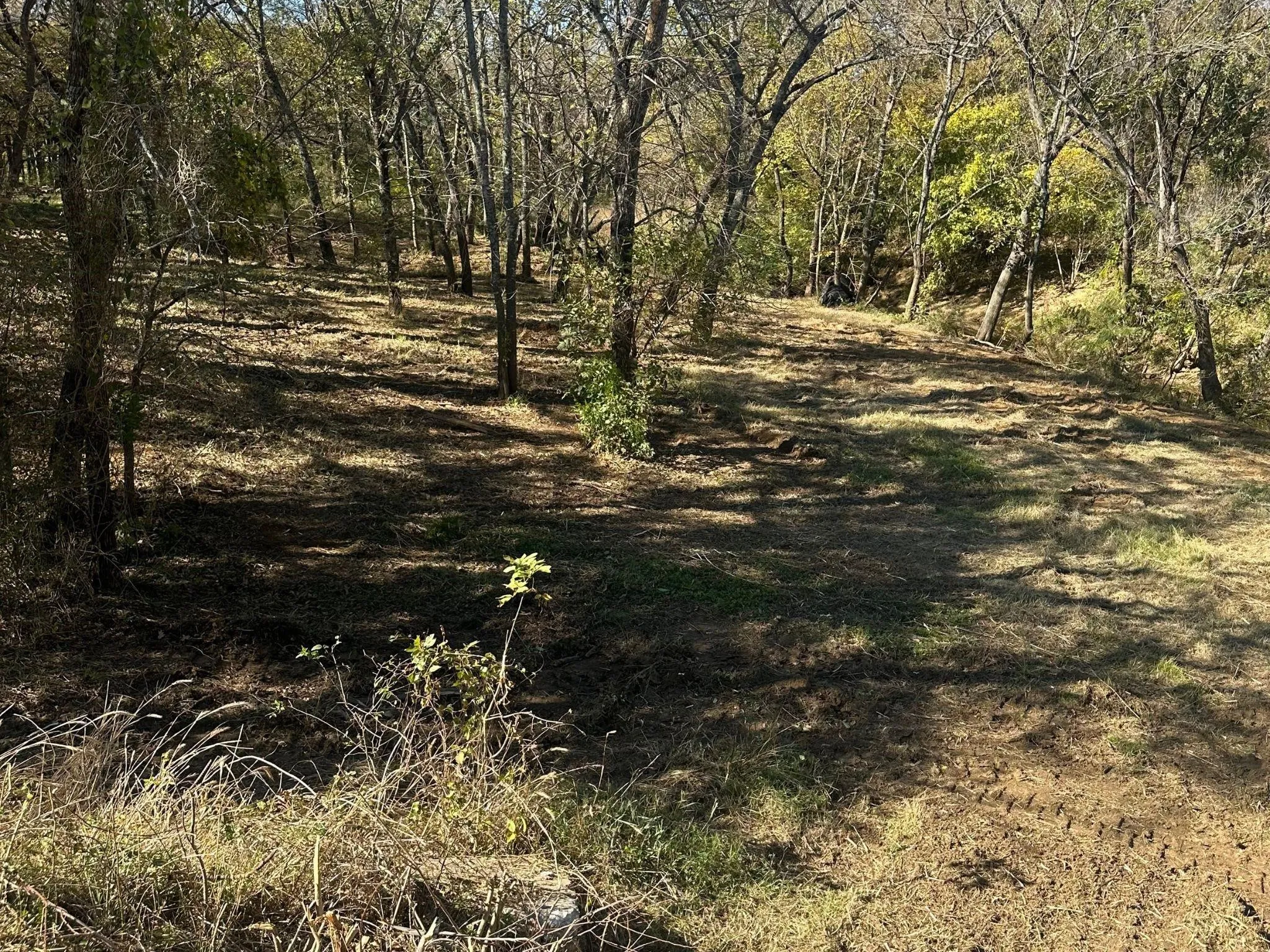 Unimproved Land For Sale in Tarrant County , 351 Carlin Road, Mansfield, Texas 76063, 0, 0, Garage spaces, 0 Sqft, built in 0, mls#21386754, Real Estate Agent in Mansfield, Homes For Sale in Tarrant county, Homes For Sale in Mansfield, Realtor in Mansfield Texas, Real Estate Brokerage Independent Realty Texas, Luminita Cordes Realtor