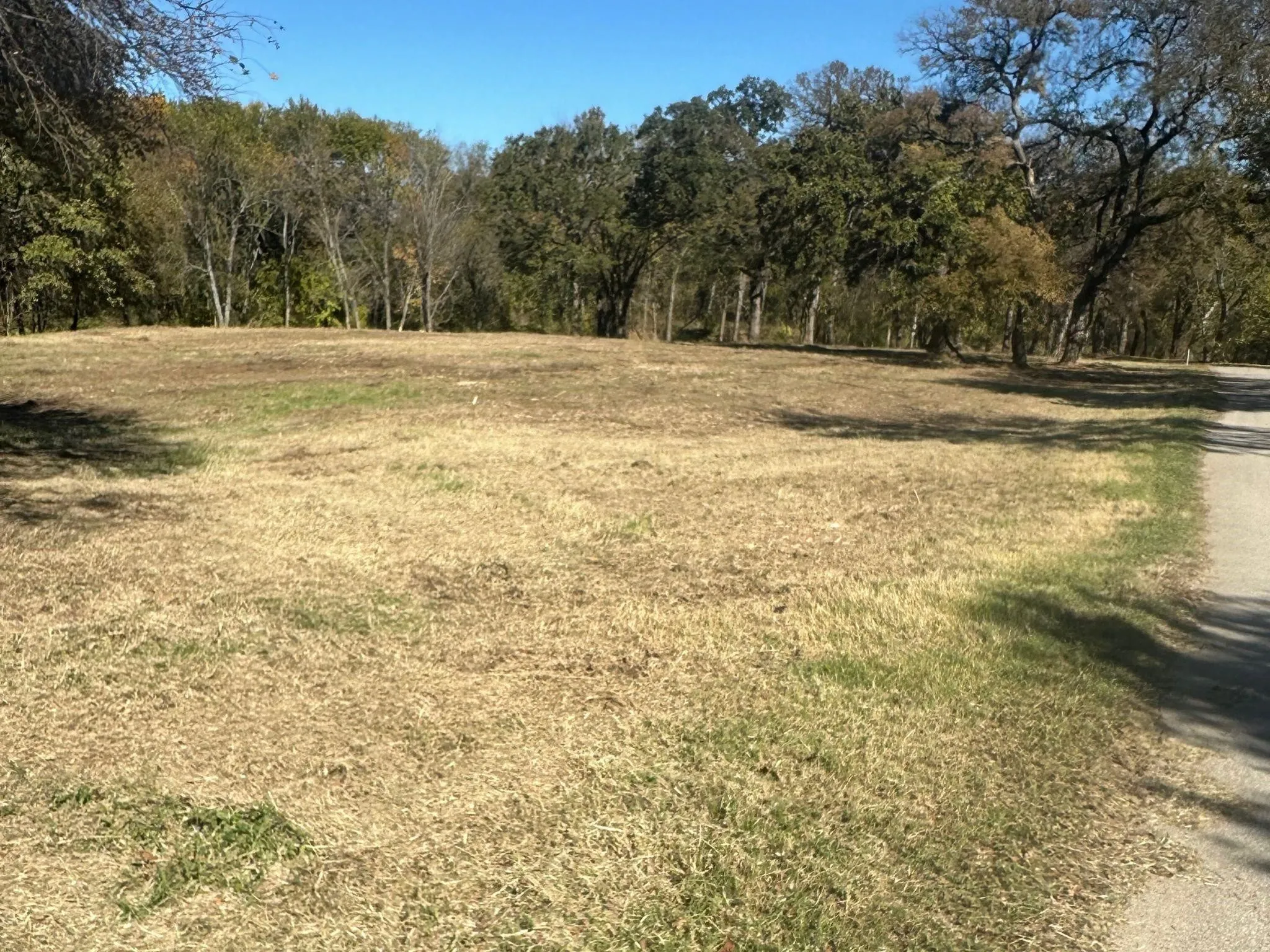 Unimproved Land For Sale in Tarrant County , 351 Carlin Road, Mansfield, Texas 76063, 0, 0, Garage spaces, 0 Sqft, built in 0, mls#21386754, Real Estate Agent in Mansfield, Homes For Sale in Tarrant county, Homes For Sale in Mansfield, Realtor in Mansfield Texas, Real Estate Brokerage Independent Realty Texas, Luminita Cordes Realtor