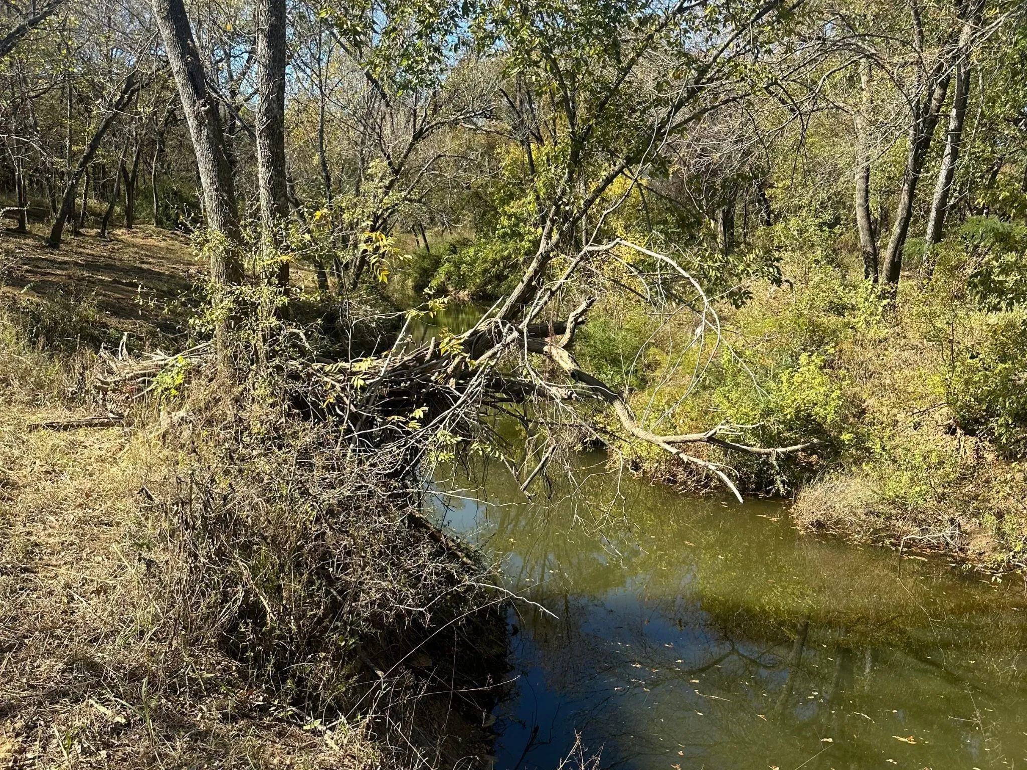 Unimproved Land For Sale in Tarrant County , 351 Carlin Road, Mansfield, Texas 76063, 0, 0, Garage spaces, 0 Sqft, built in 0, mls#21386754, Real Estate Agent in Mansfield, Homes For Sale in Tarrant county, Homes For Sale in Mansfield, Realtor in Mansfield Texas, Real Estate Brokerage Independent Realty Texas, Luminita Cordes Realtor