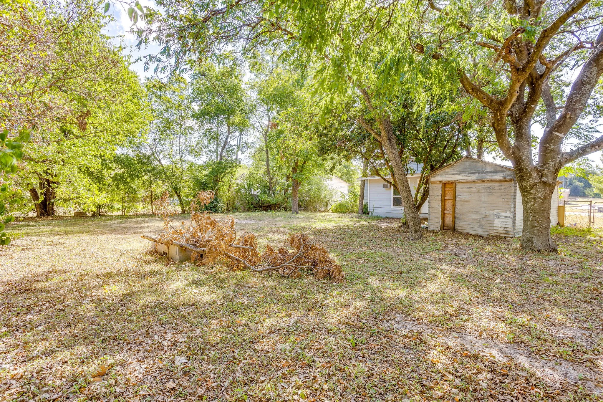 Large backyard with views from back corner.