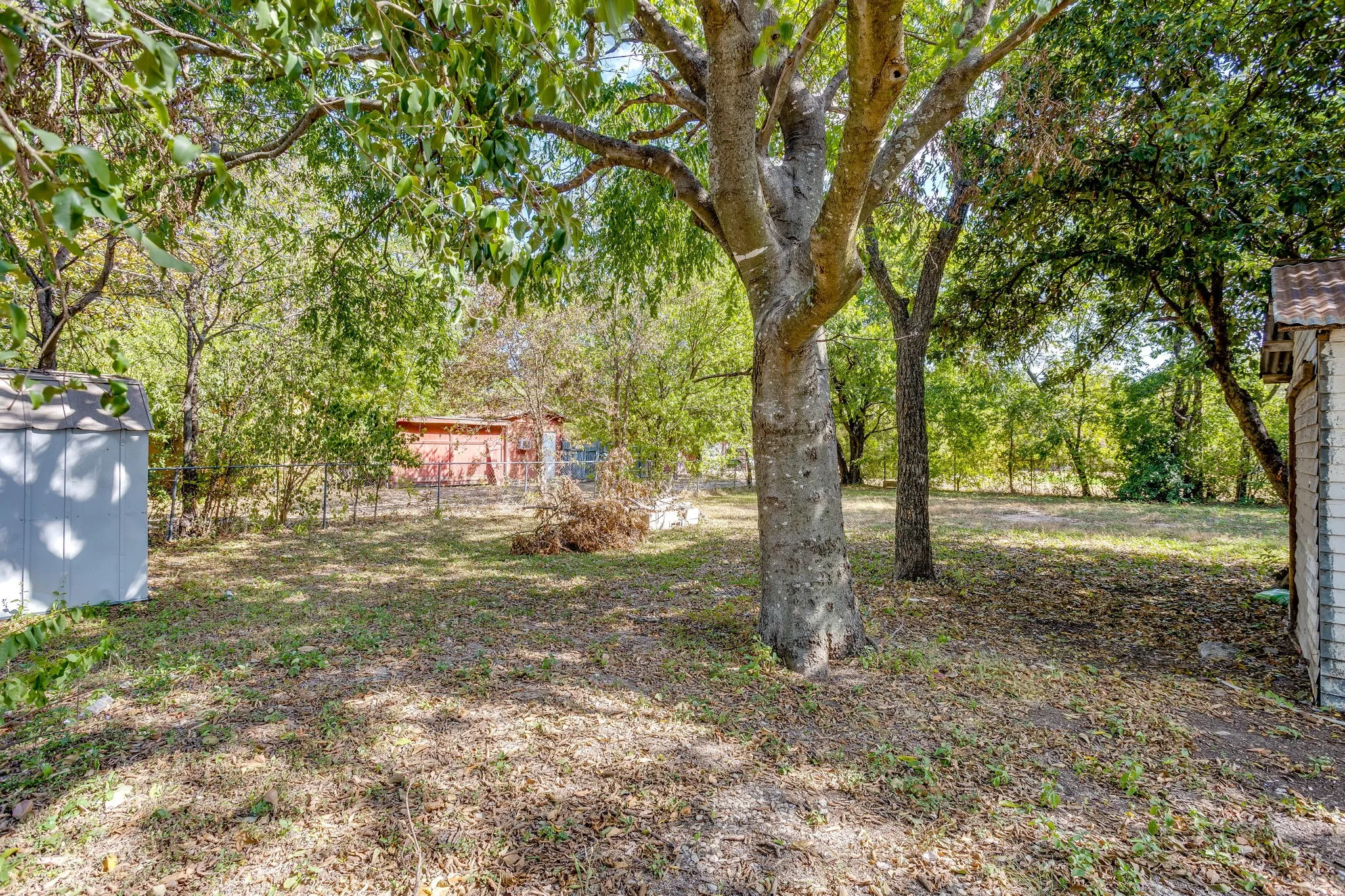 Large backyard fully fenced with chain link fence and great trees!