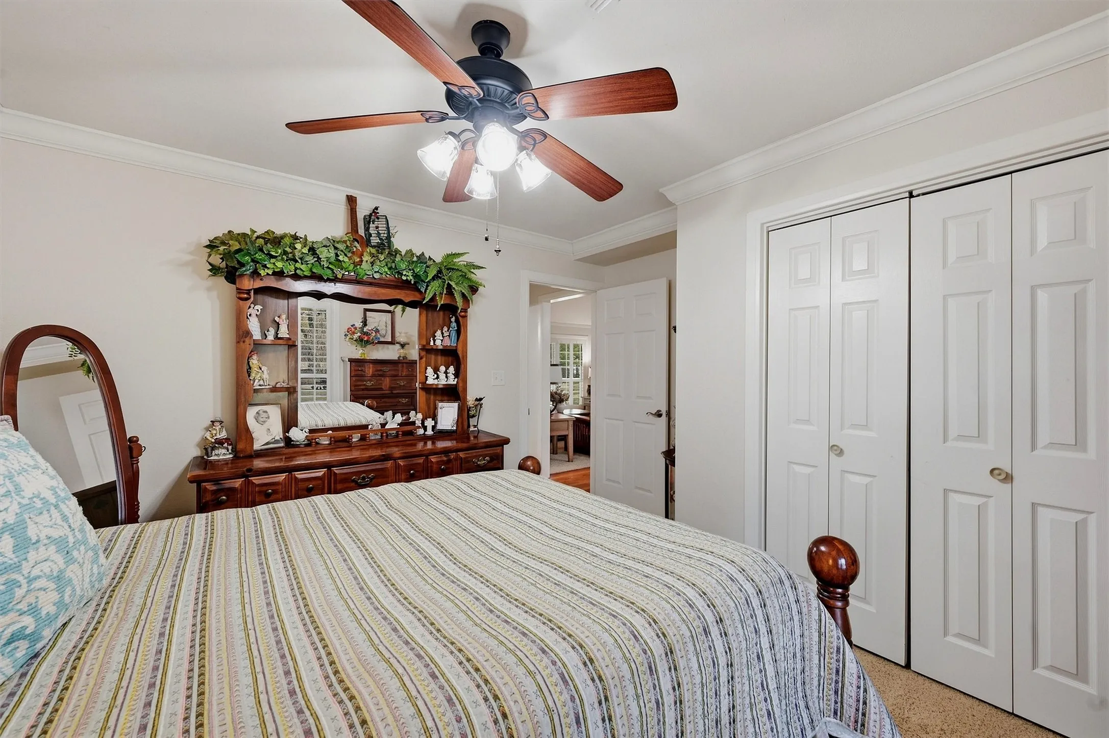 Ceiling fan with integrated lighting, crown molding, white paneled bifold closet doors, and carpet flooring