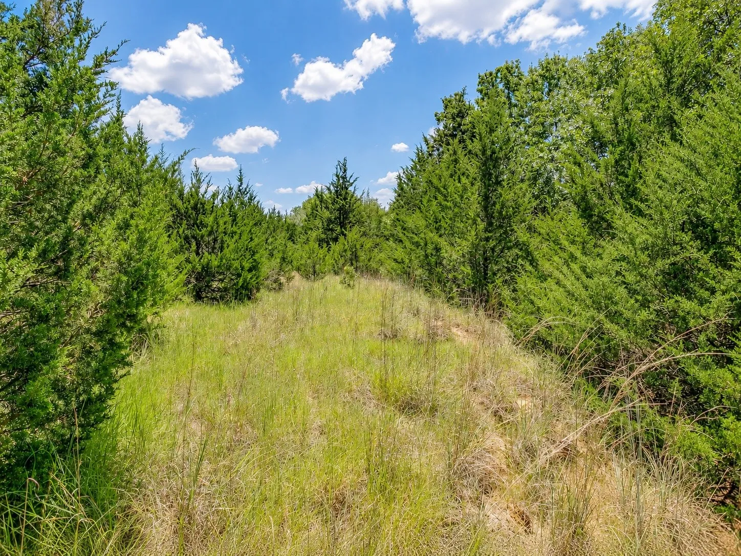 Unimproved Land For Sale in Johnson County , 2812 COUNTY ROAD 805B, Keene, Texas 76031, 0, 0, Garage spaces, 0 Sqft, built in 0, mls#21387420, Real Estate Agent in Keene, Homes For Sale in Johnson county, Homes For Sale in Keene, Realtor in Keene Texas, Real Estate Brokerage Independent Realty Texas, Luminita Cordes Realtor