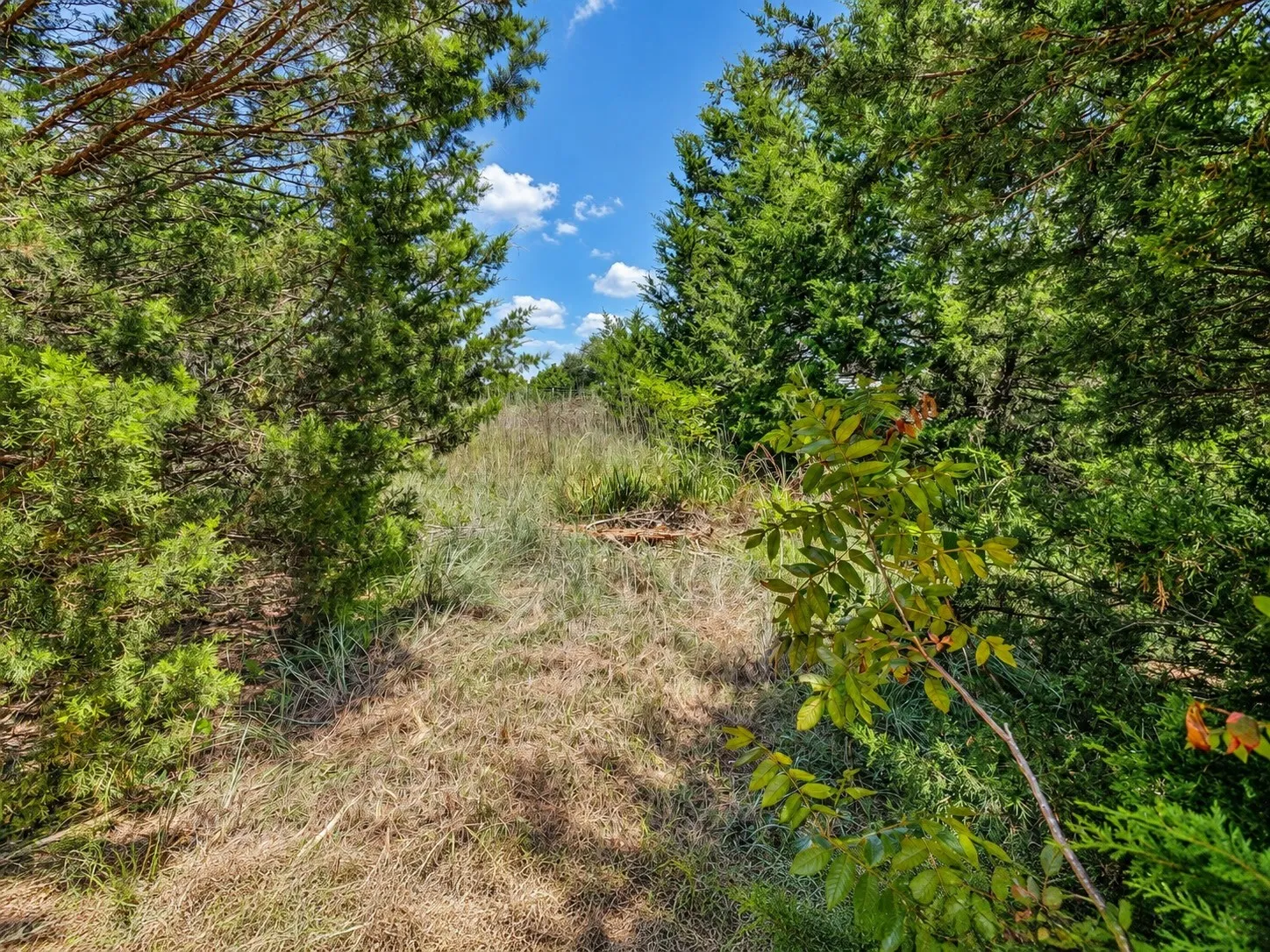 Unimproved Land For Sale in Johnson County , 2812 COUNTY ROAD 805B, Keene, Texas 76031, 0, 0, Garage spaces, 0 Sqft, built in 0, mls#21387420, Real Estate Agent in Keene, Homes For Sale in Johnson county, Homes For Sale in Keene, Realtor in Keene Texas, Real Estate Brokerage Independent Realty Texas, Luminita Cordes Realtor