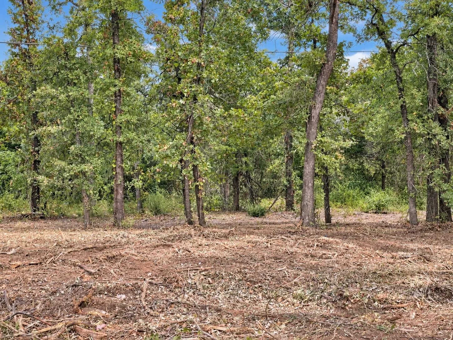 Unimproved Land For Sale in Johnson County , 2812 COUNTY ROAD 805B, Keene, Texas 76031, 0, 0, Garage spaces, 0 Sqft, built in 0, mls#21387420, Real Estate Agent in Keene, Homes For Sale in Johnson county, Homes For Sale in Keene, Realtor in Keene Texas, Real Estate Brokerage Independent Realty Texas, Luminita Cordes Realtor