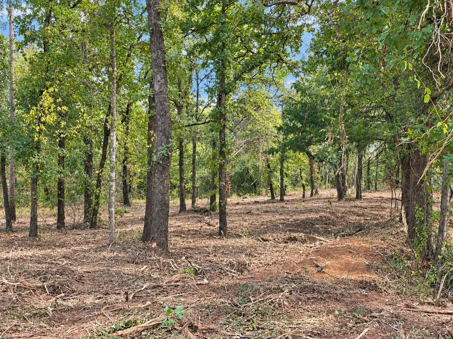 Unimproved Land For Sale in Johnson County , 2812 COUNTY ROAD 805B, Keene, Texas 76031, 0, 0, Garage spaces, 0 Sqft, built in 0, mls#21387420, Real Estate Agent in Keene, Homes For Sale in Johnson county, Homes For Sale in Keene, Realtor in Keene Texas, Real Estate Brokerage Independent Realty Texas, Luminita Cordes Realtor