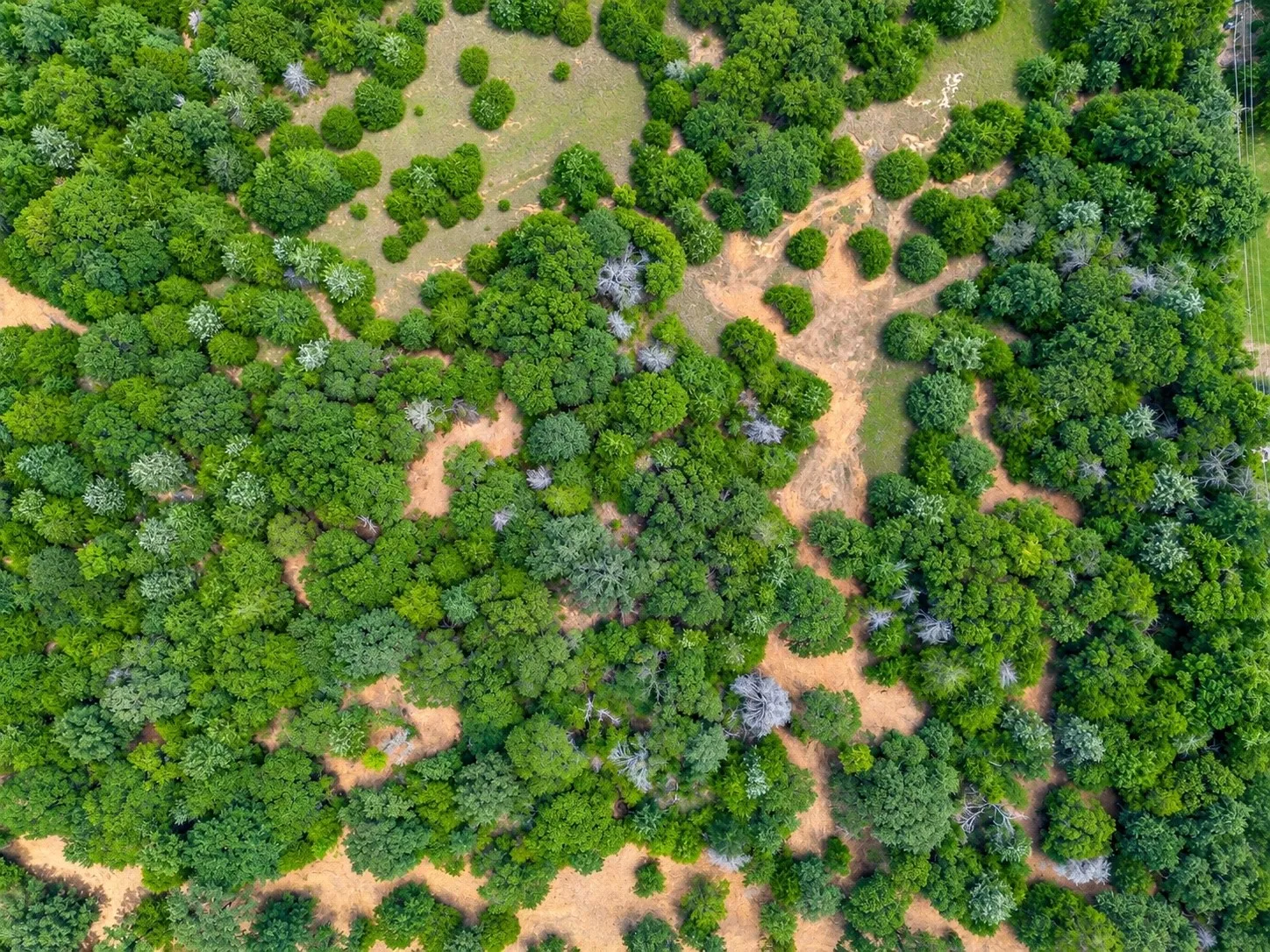 Unimproved Land For Sale in Johnson County , 2812 COUNTY ROAD 805B, Keene, Texas 76031, 0, 0, Garage spaces, 0 Sqft, built in 0, mls#21387420, Real Estate Agent in Keene, Homes For Sale in Johnson county, Homes For Sale in Keene, Realtor in Keene Texas, Real Estate Brokerage Independent Realty Texas, Luminita Cordes Realtor