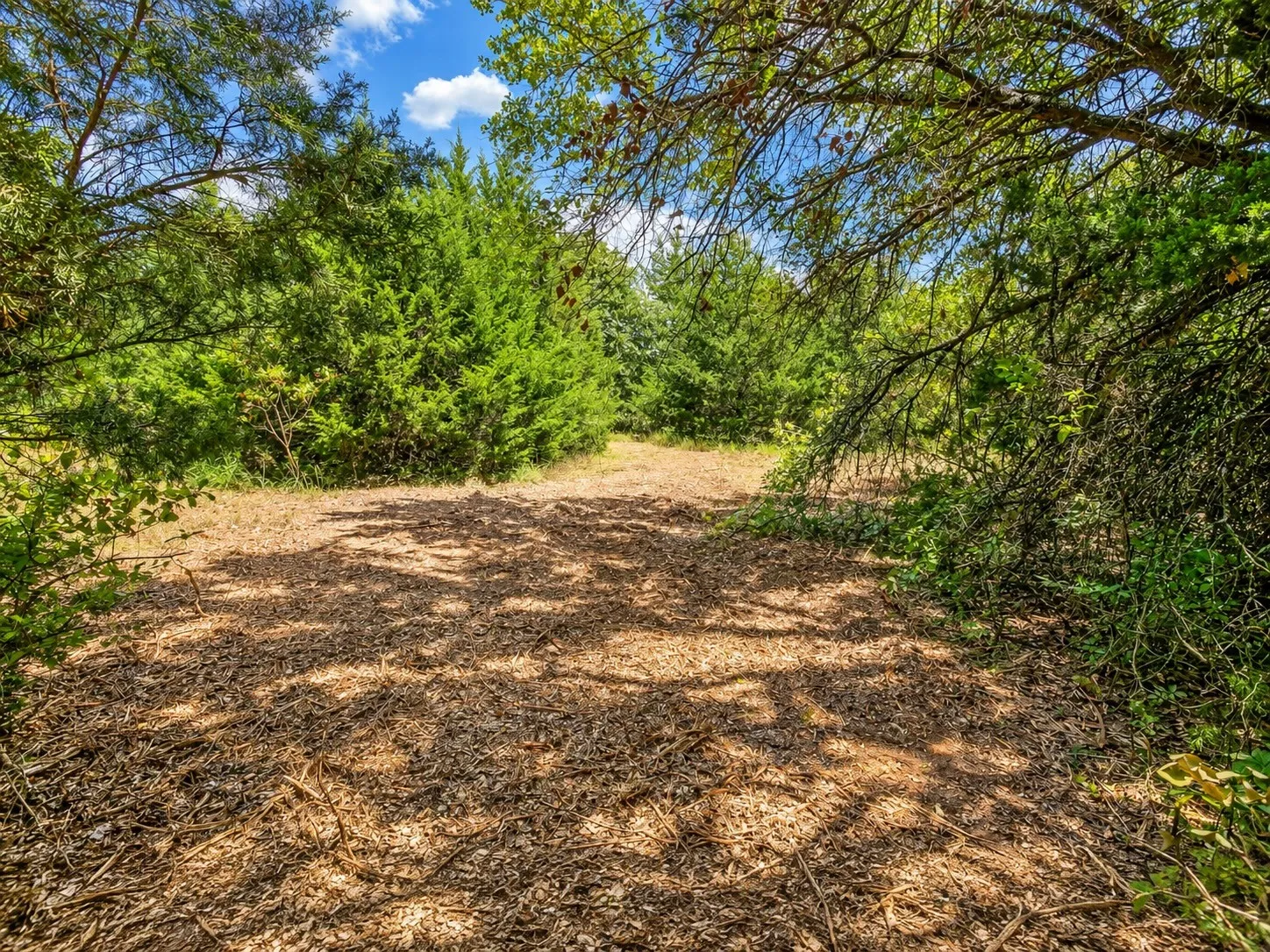 Unimproved Land For Sale in Johnson County , 2812 COUNTY ROAD 805B, Keene, Texas 76031, 0, 0, Garage spaces, 0 Sqft, built in 0, mls#21387420, Real Estate Agent in Keene, Homes For Sale in Johnson county, Homes For Sale in Keene, Realtor in Keene Texas, Real Estate Brokerage Independent Realty Texas, Luminita Cordes Realtor