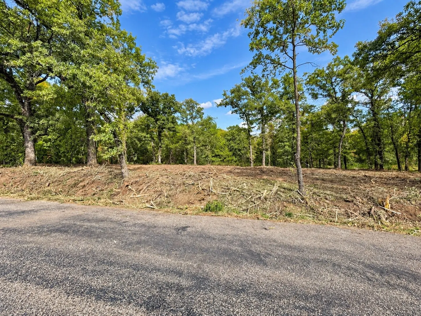 Unimproved Land For Sale in Johnson County , 2812 COUNTY ROAD 805B, Keene, Texas 76031, 0, 0, Garage spaces, 0 Sqft, built in 0, mls#21387420, Real Estate Agent in Keene, Homes For Sale in Johnson county, Homes For Sale in Keene, Realtor in Keene Texas, Real Estate Brokerage Independent Realty Texas, Luminita Cordes Realtor
