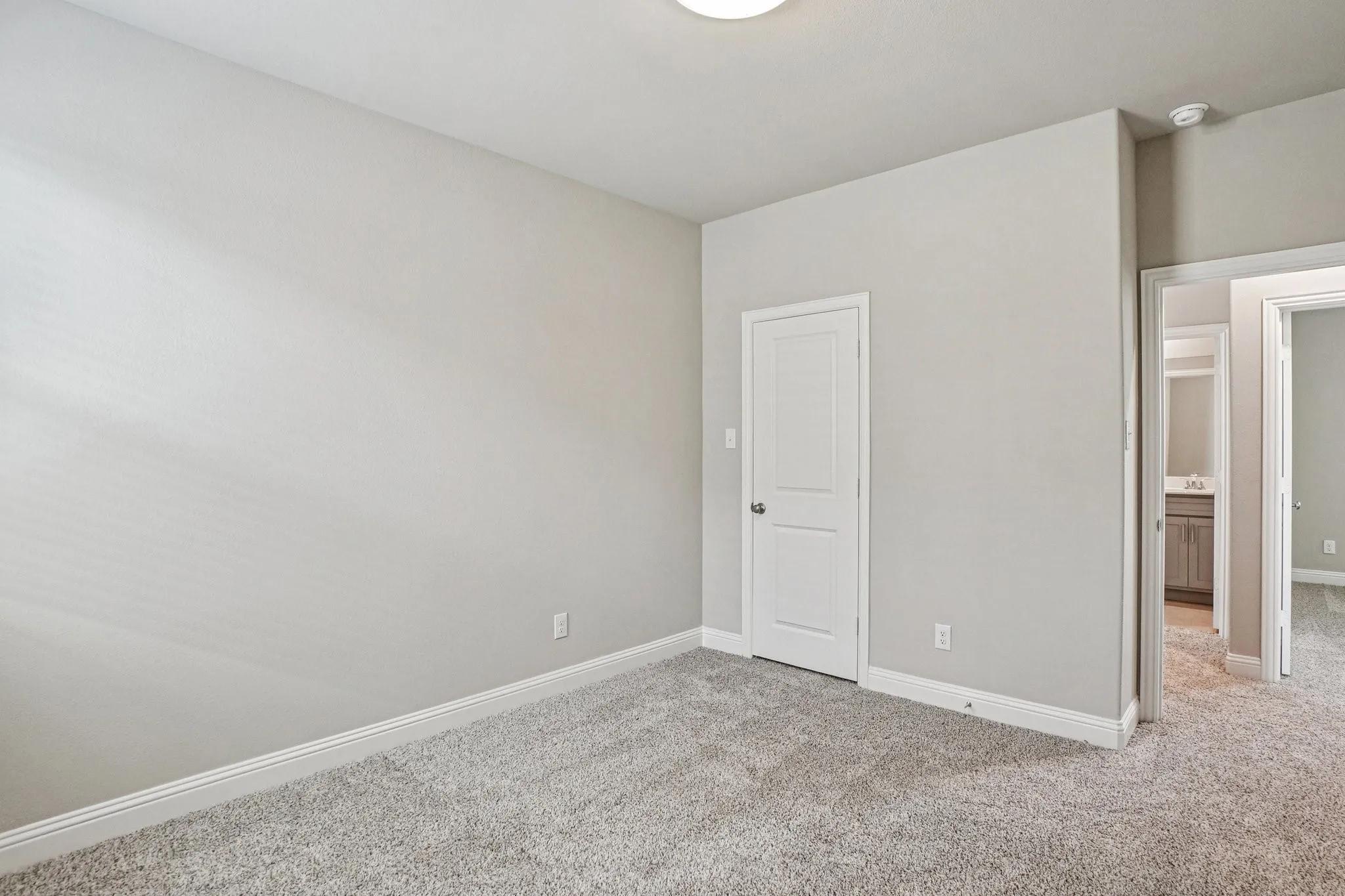 Single Family Residence For Rent in Collin County , 3009 Camilli Cove, Princeton, Texas 75407, 4 Bedroom, 3 Bathroom, 2 Garage spaces, 2,436 Sqft, built in 2025, mls#21387512, Real Estate Agent in Princeton, Homes For Rent in Collin county, Homes For Rent in Princeton, Realtor in Princeton Texas, Real Estate Brokerage Independent Realty Texas, Luminita Cordes Realtor