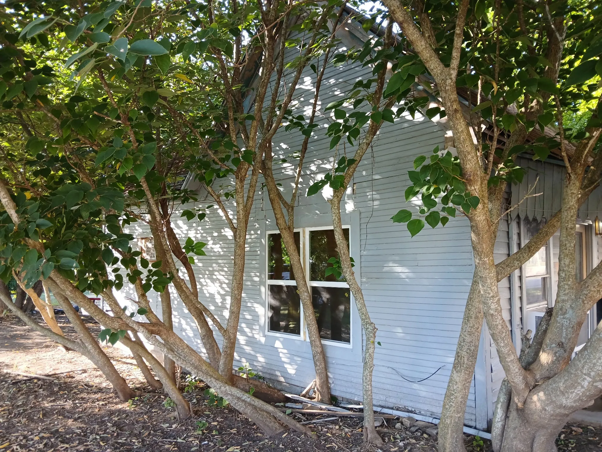 Light blue siding exterior with multiple mature trees, featuring a window with white trim