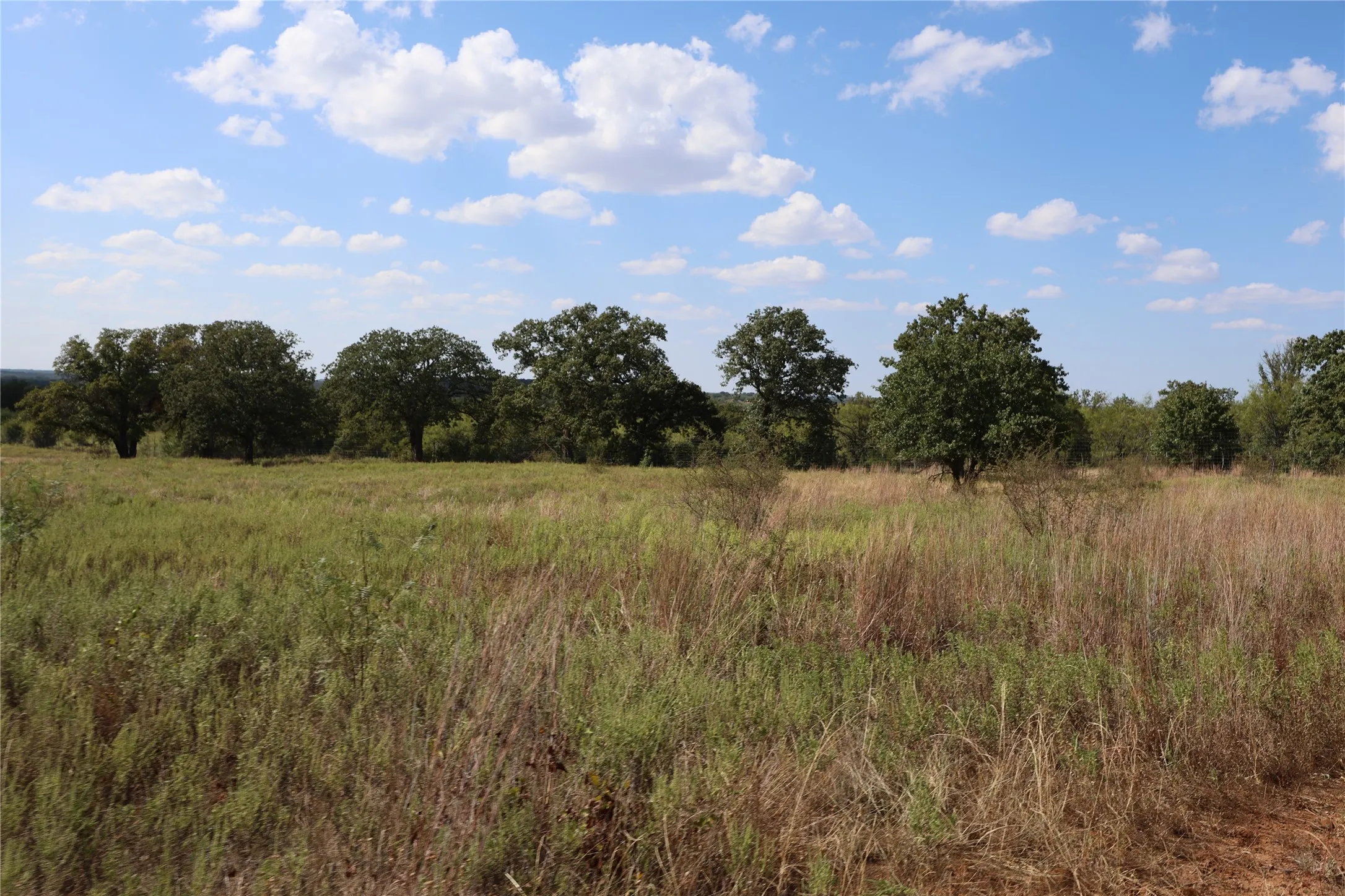 Farm For Sale in Brown County , 11899 County Road 108, Brownwood, Texas 76801, 3 Bedroom, 4 Bathroom, 4 Garage spaces, 2,320 Sqft, built in 2020, mls#21387537, Real Estate Agent in Brownwood, Homes For Sale in Brown county, Homes For Sale in Brownwood, Realtor in Brownwood Texas, Real Estate Brokerage Independent Realty Texas, Luminita Cordes Realtor