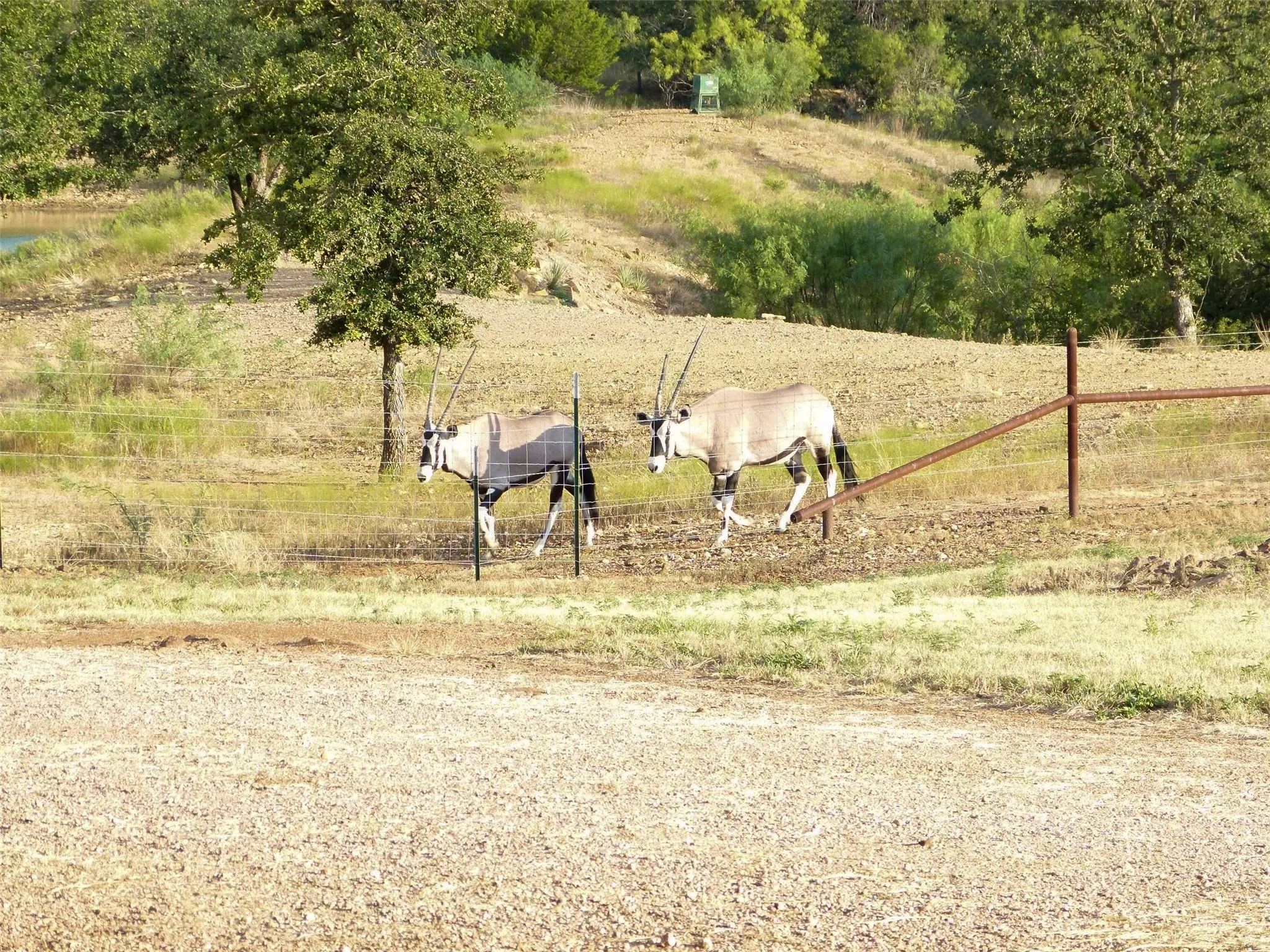 Farm For Sale in Brown County , 11899 County Road 108, Brownwood, Texas 76801, 3 Bedroom, 4 Bathroom, 4 Garage spaces, 2,320 Sqft, built in 2020, mls#21387537, Real Estate Agent in Brownwood, Homes For Sale in Brown county, Homes For Sale in Brownwood, Realtor in Brownwood Texas, Real Estate Brokerage Independent Realty Texas, Luminita Cordes Realtor