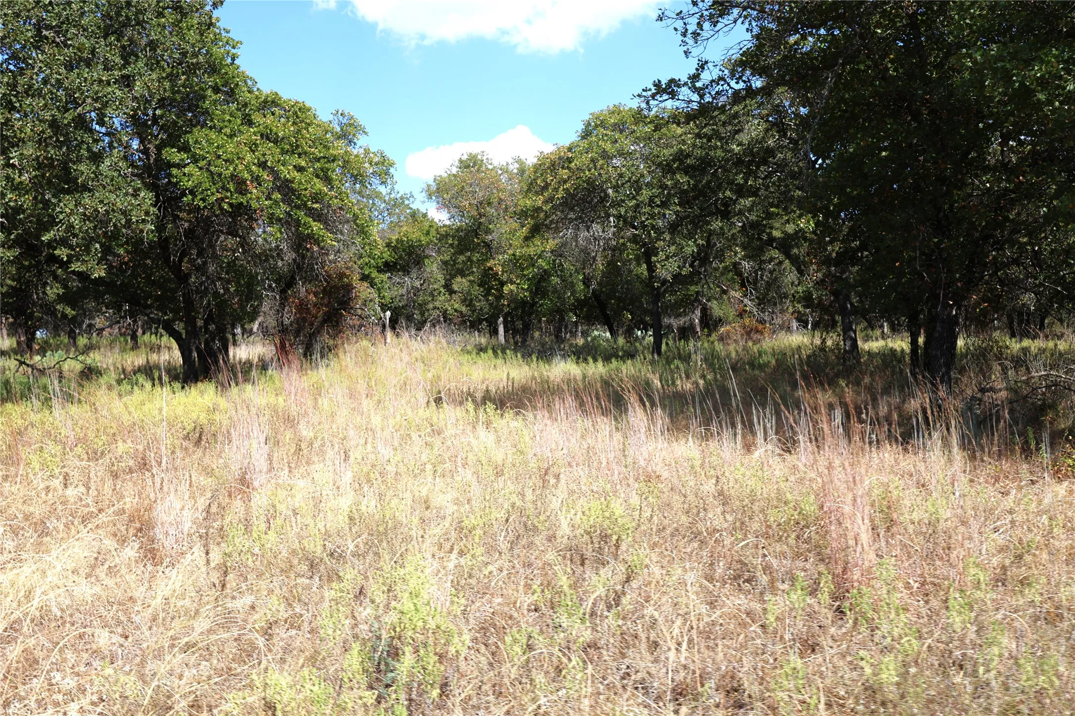 Ranch For Sale in Brown County , 11899L County Road 108, Brownwood, Texas 76801, 0, 0, Garage spaces, 0 Sqft, built in 2020, mls#21387572, Real Estate Agent in Brownwood, Homes For Sale in Brown county, Homes For Sale in Brownwood, Realtor in Brownwood Texas, Real Estate Brokerage Independent Realty Texas, Luminita Cordes Realtor