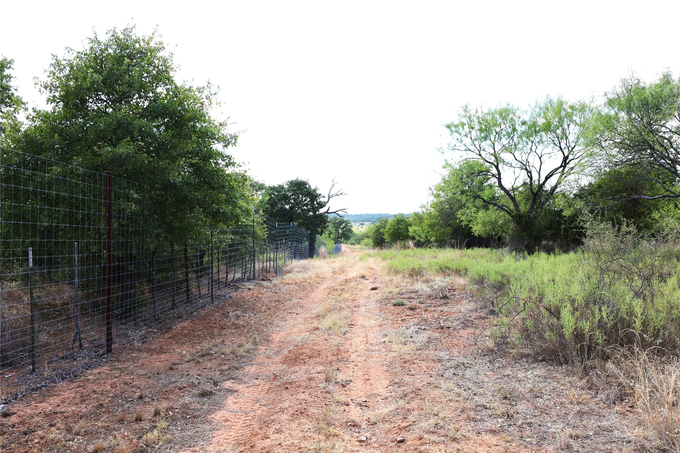 Ranch For Sale in Brown County , 11899L County Road 108, Brownwood, Texas 76801, 0, 0, Garage spaces, 0 Sqft, built in 2020, mls#21387572, Real Estate Agent in Brownwood, Homes For Sale in Brown county, Homes For Sale in Brownwood, Realtor in Brownwood Texas, Real Estate Brokerage Independent Realty Texas, Luminita Cordes Realtor