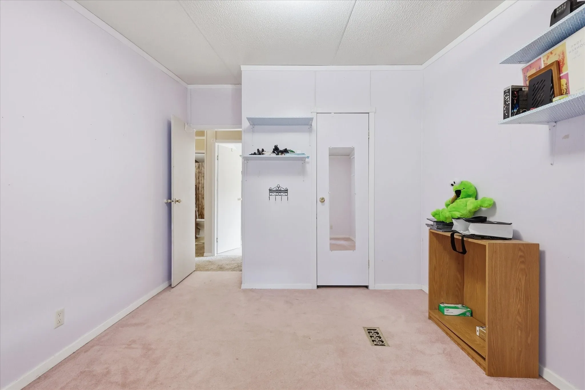 Wall-to-wall carpeting, built-in shelving, white trim, and a white interior door