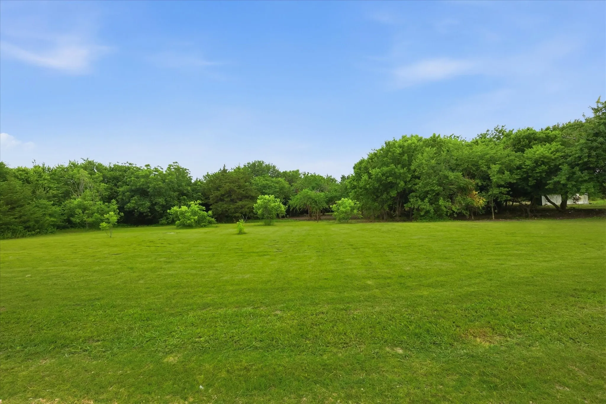 Expansive lawn with mature trees and a clear sky