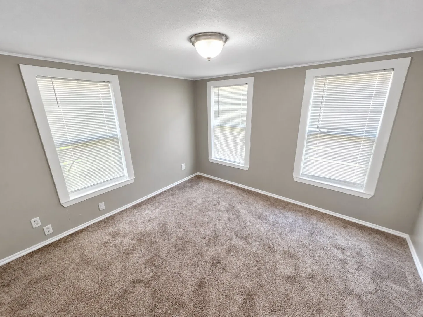 Carpeted room featuring three windows with blinds and a flush mount light fixture