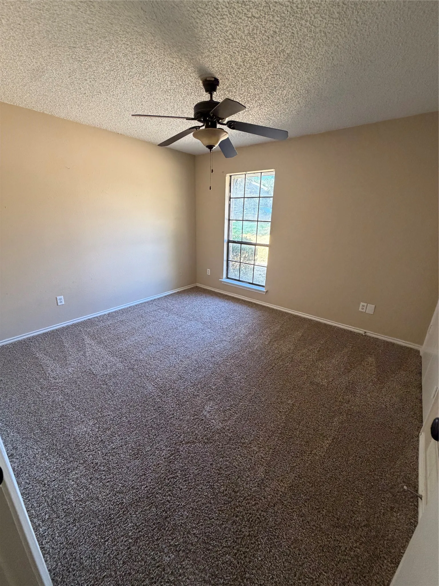 Carpeted room featuring neutral-toned walls, a single window with a white frame, and a ceiling-mounted fan with integrated lighting