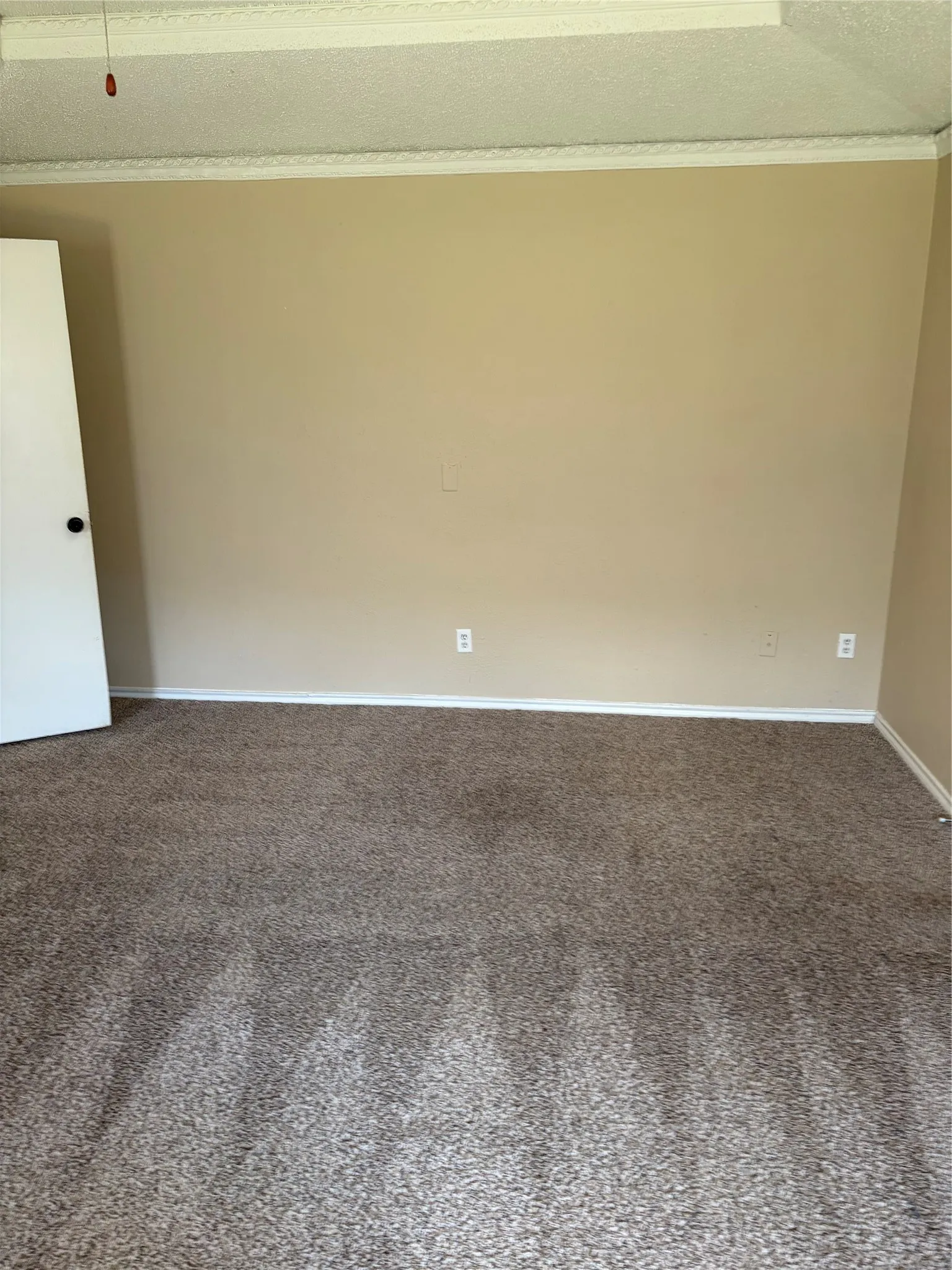 Textured carpeting, neutral wall tones, white trim, and crown molding